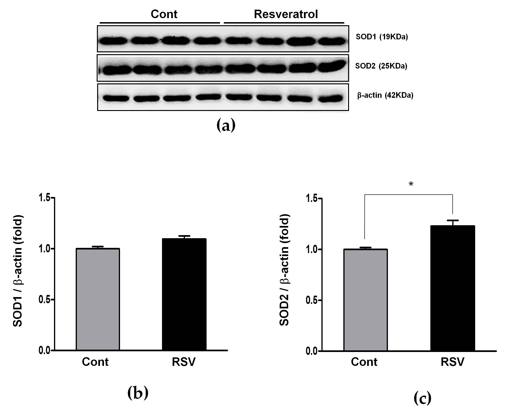 Nutrients 10 01741 g012 Nutrients 10 01741 g012