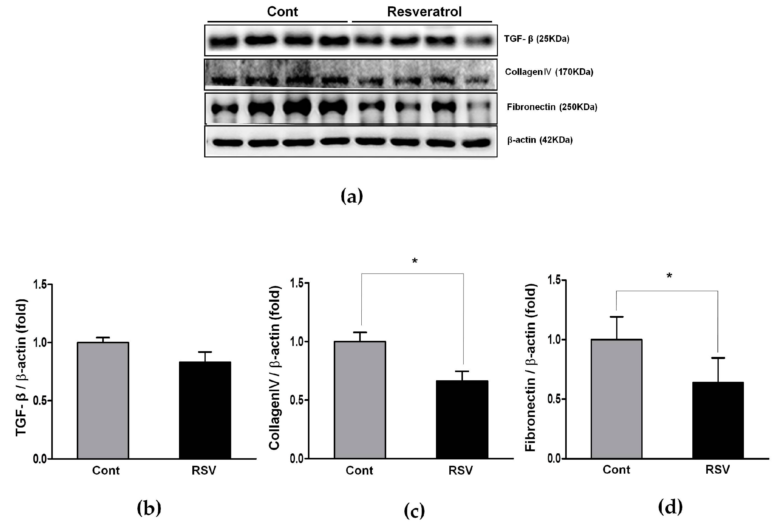 Nutrients 10 01741 g013 Nutrients 10 01741 g013