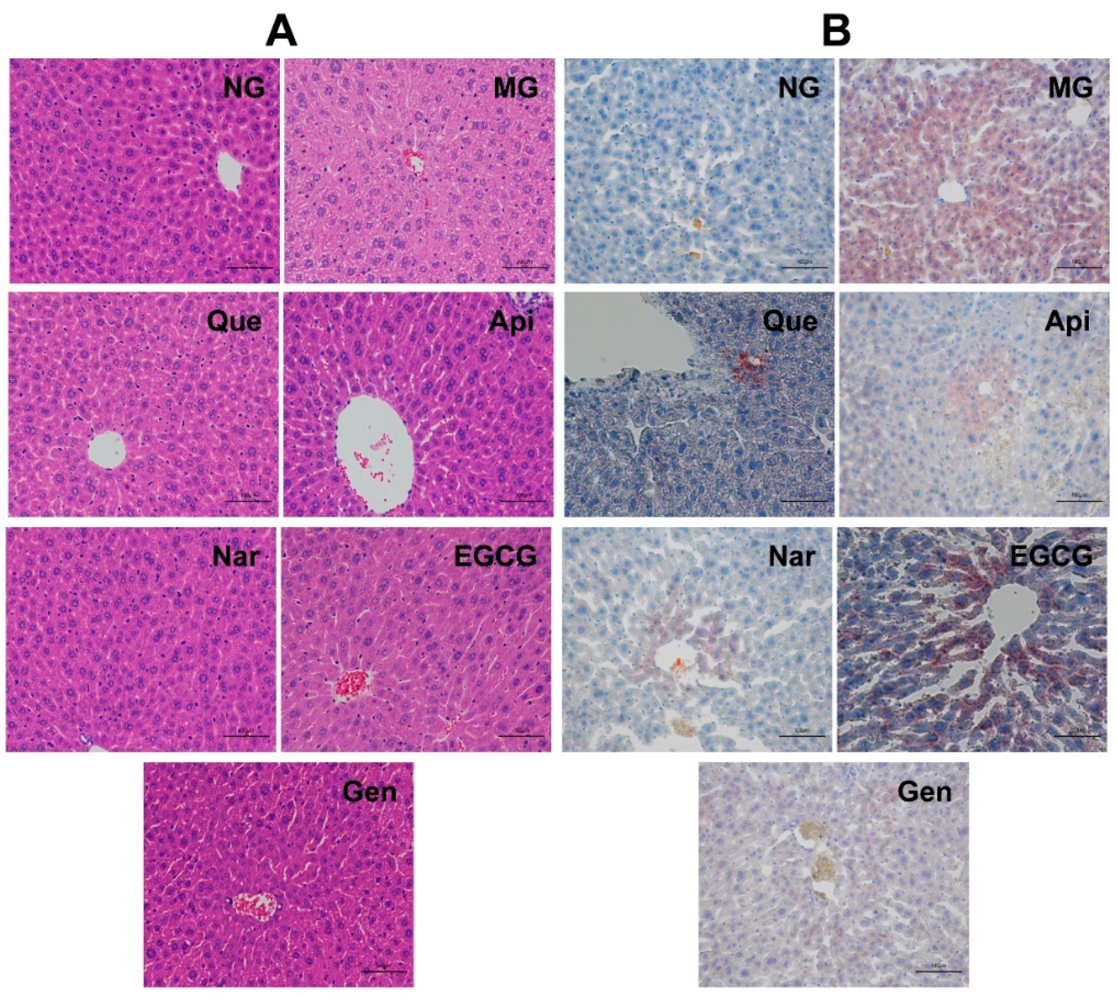 Nutrients 10 01754 g007