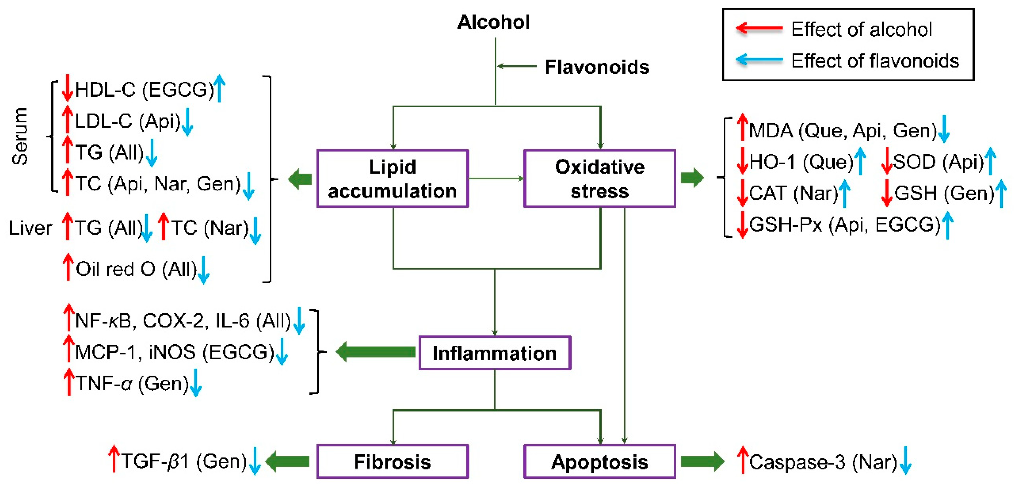 Nutrients 10 01754 g008