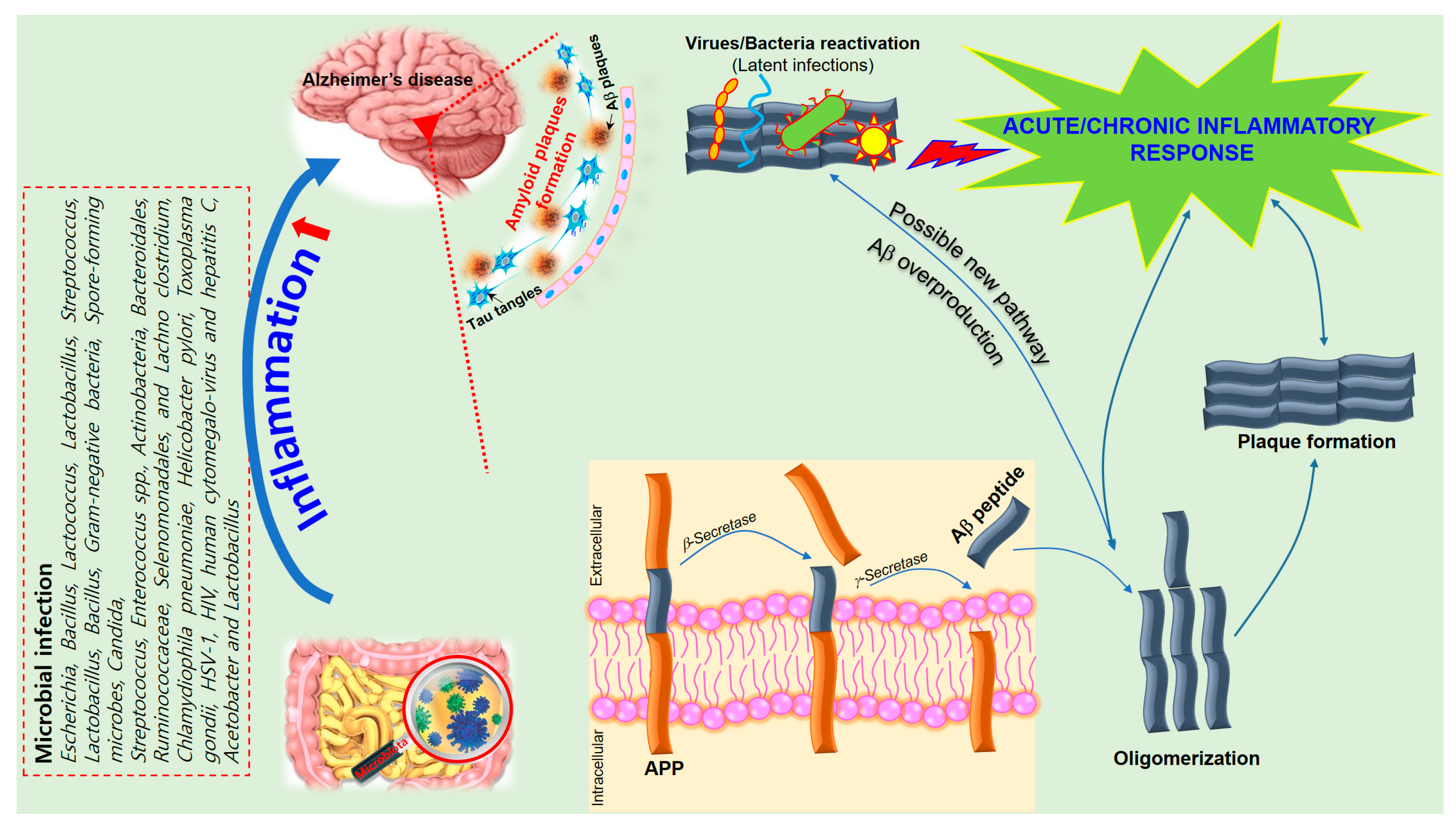 Nutrients 10 01765 g002