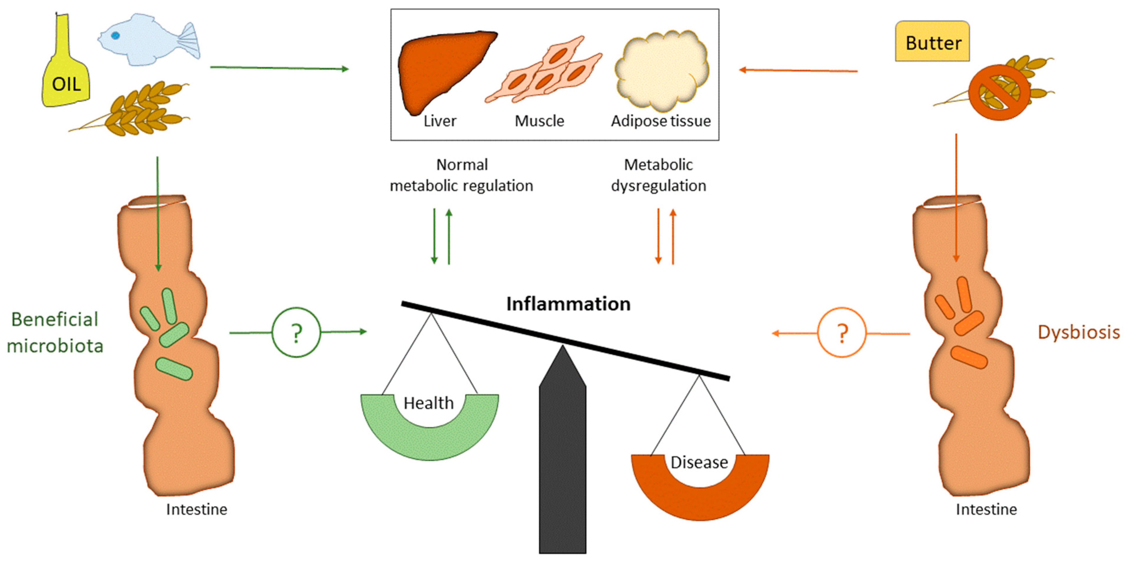 Nutrients 10 01783 g001