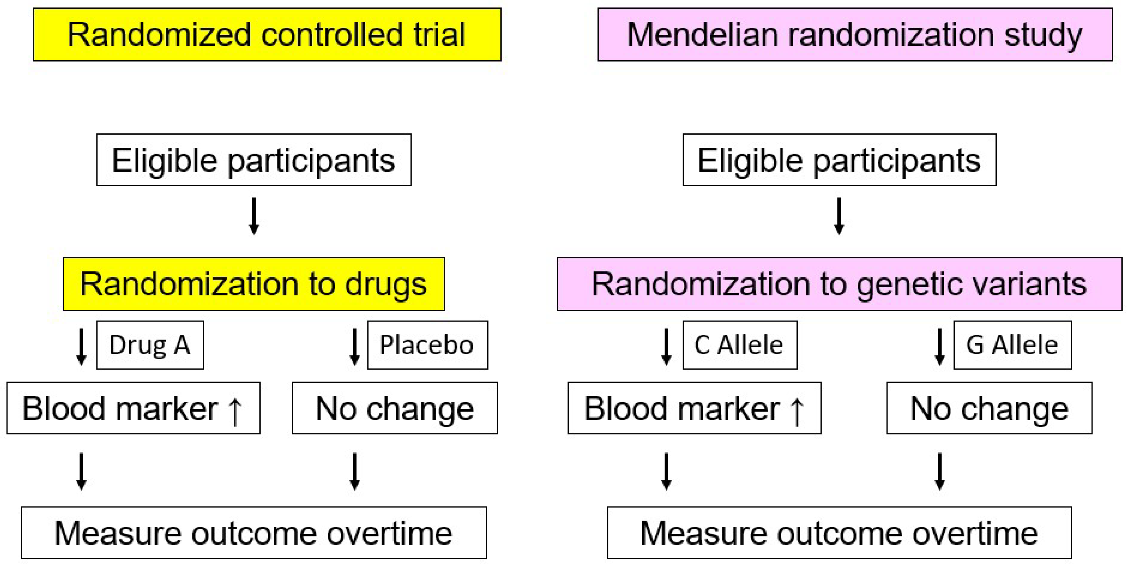 Nutrients 10 01789 g002 Nutrients 10 01789 g002
