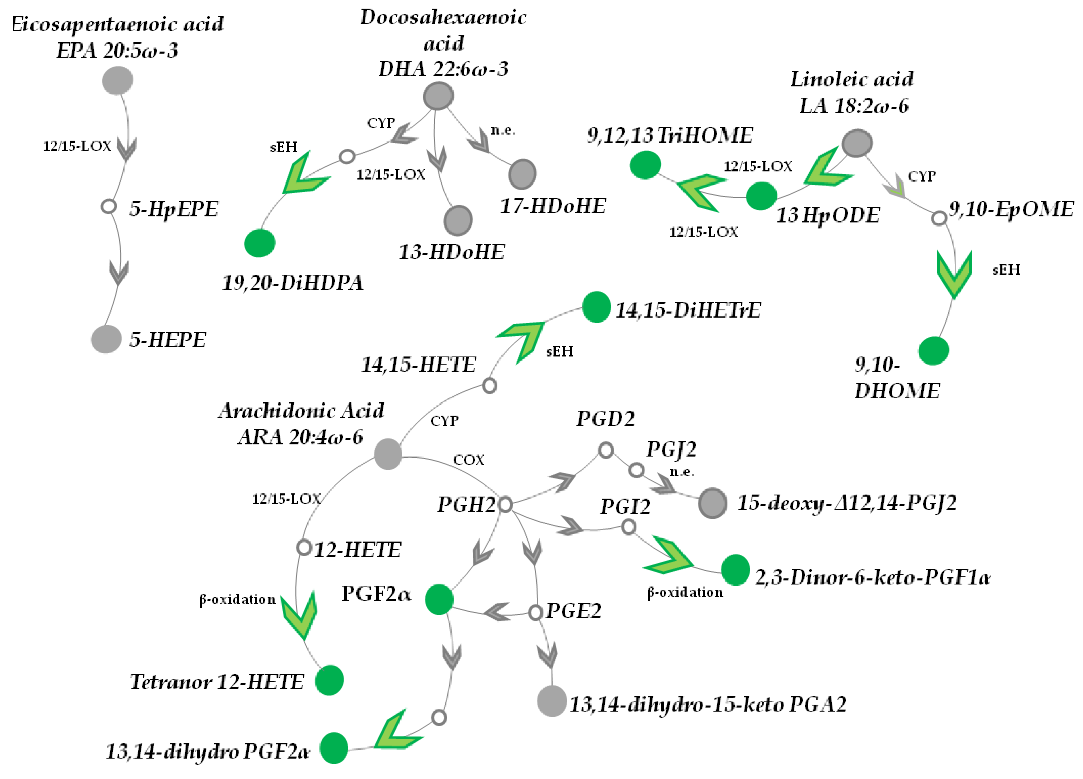 Nutrients 10 01808 g001