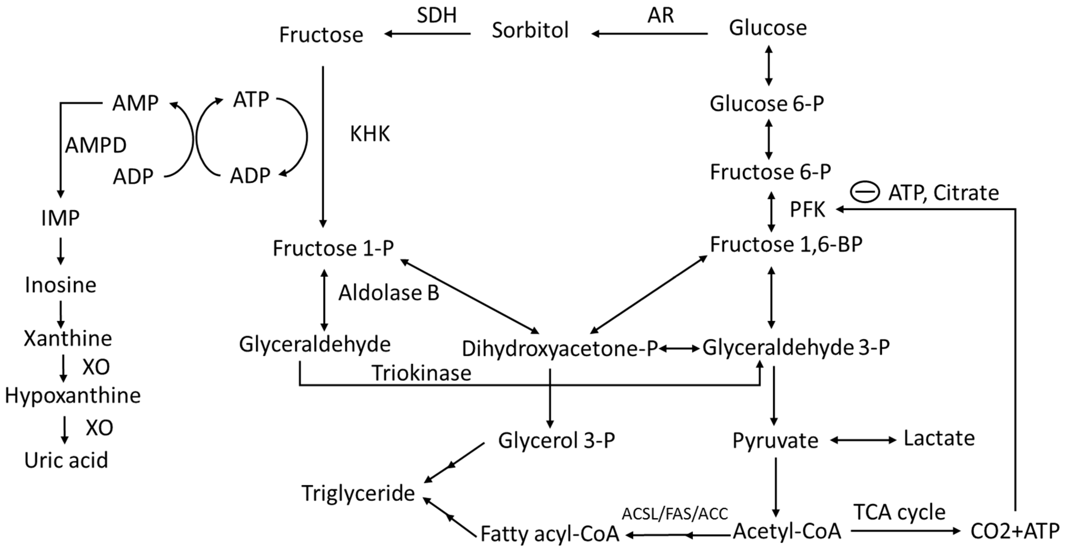 Nutrients 10 01815 g001