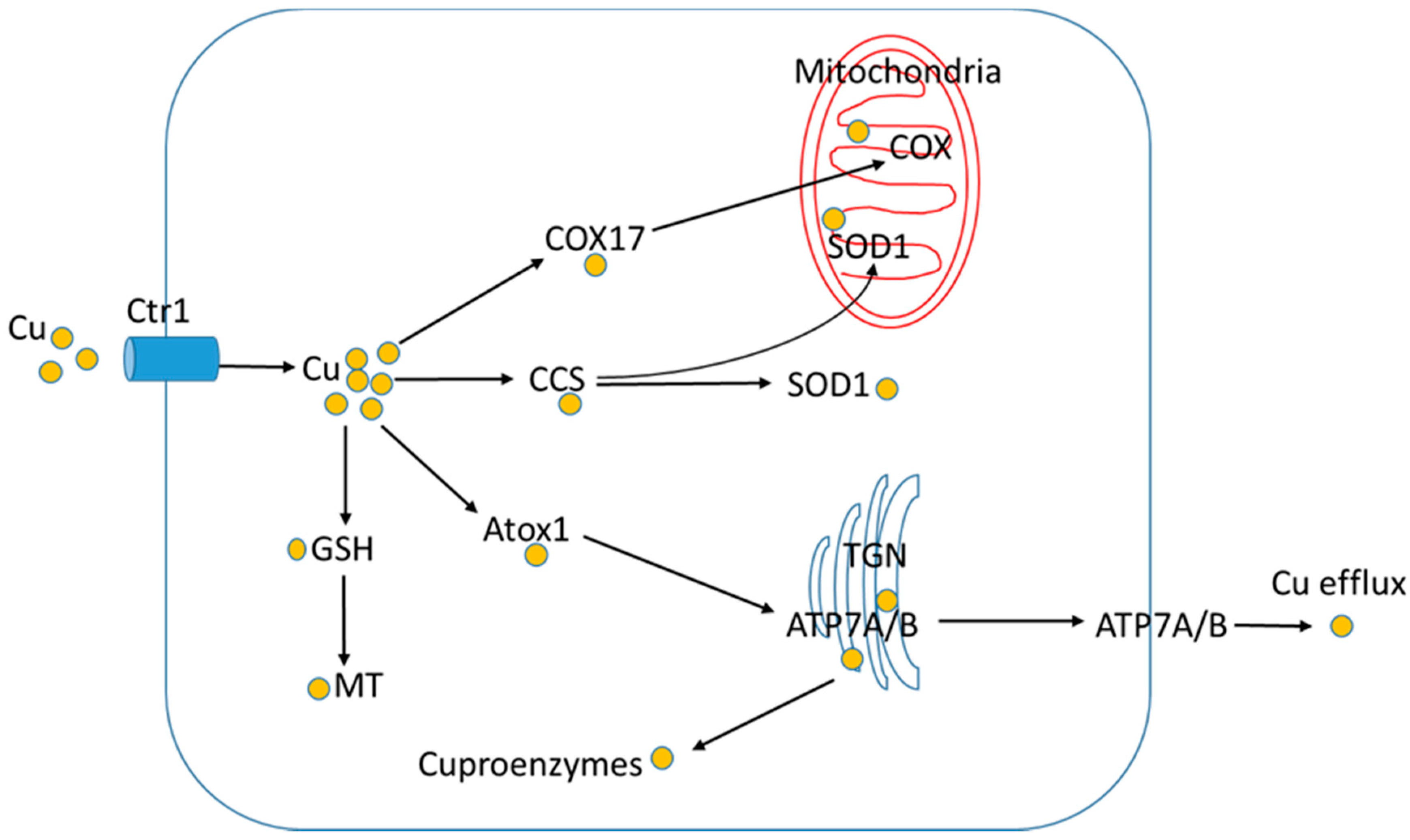 Nutrients 10 01815 g002