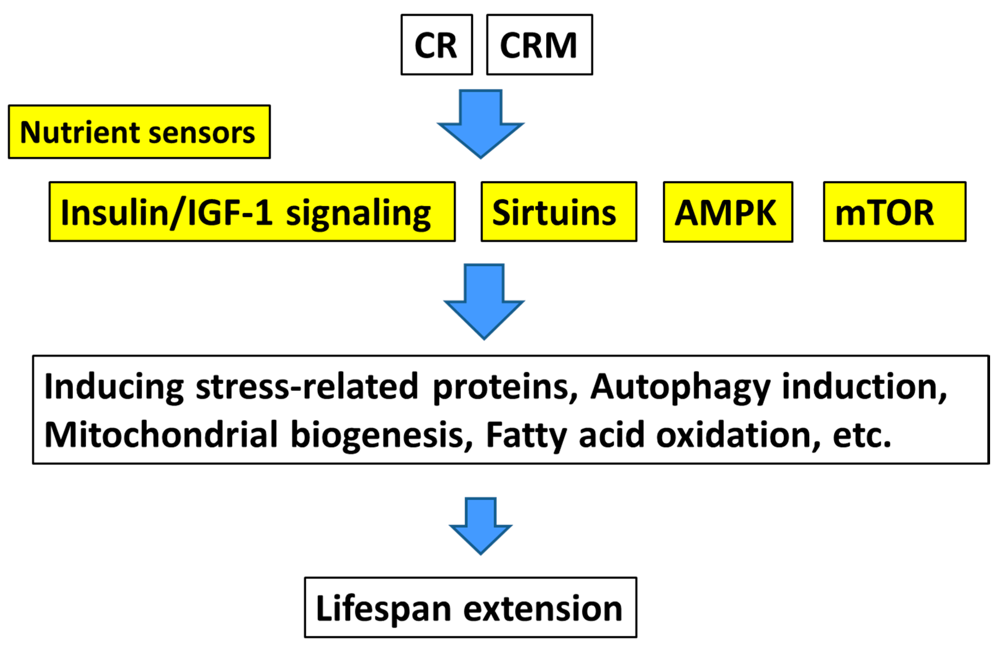 Nutrients 10 01821 g002