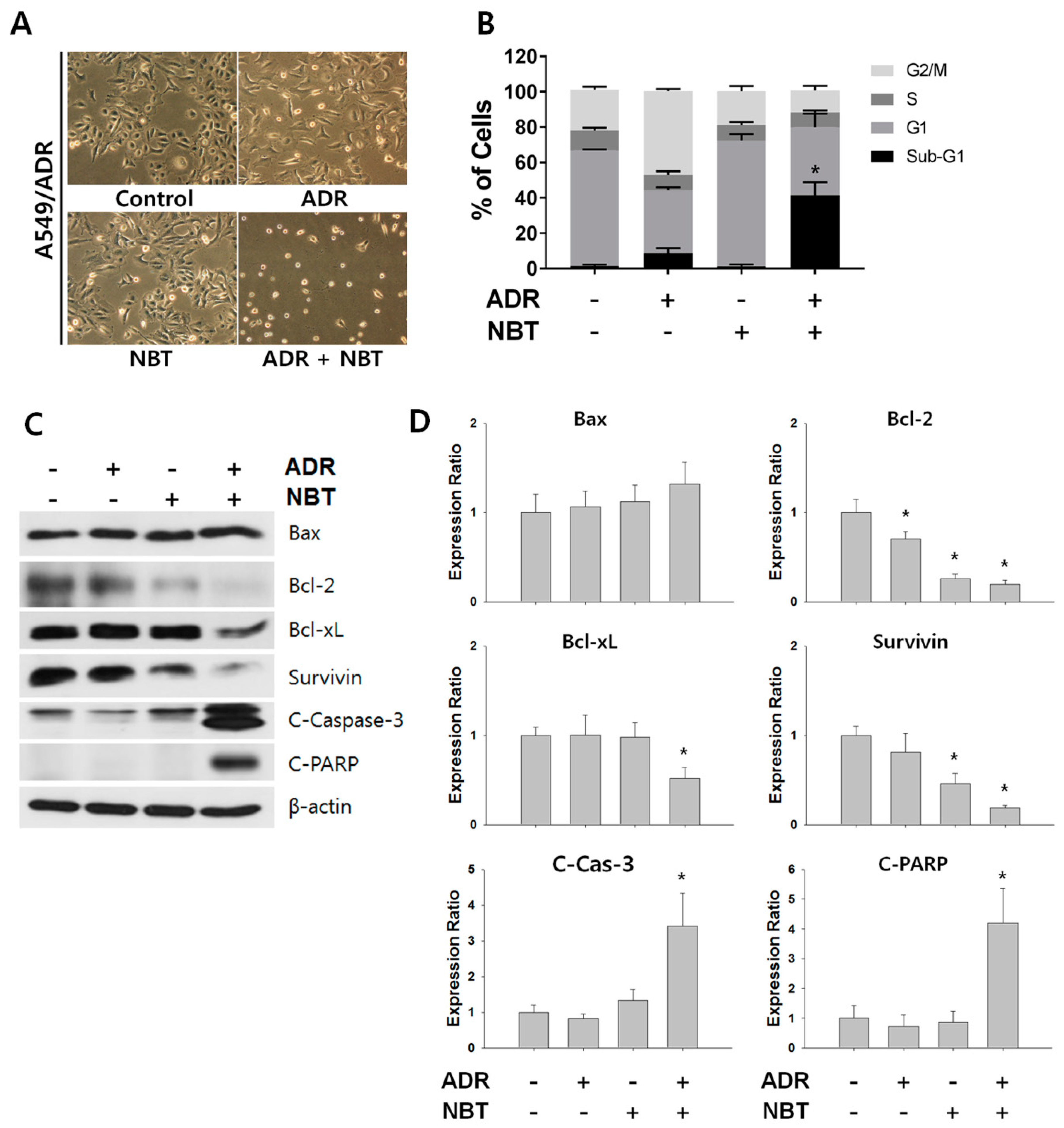 Nutrients 10 01829 g007 Nutrients 10 01829 g007