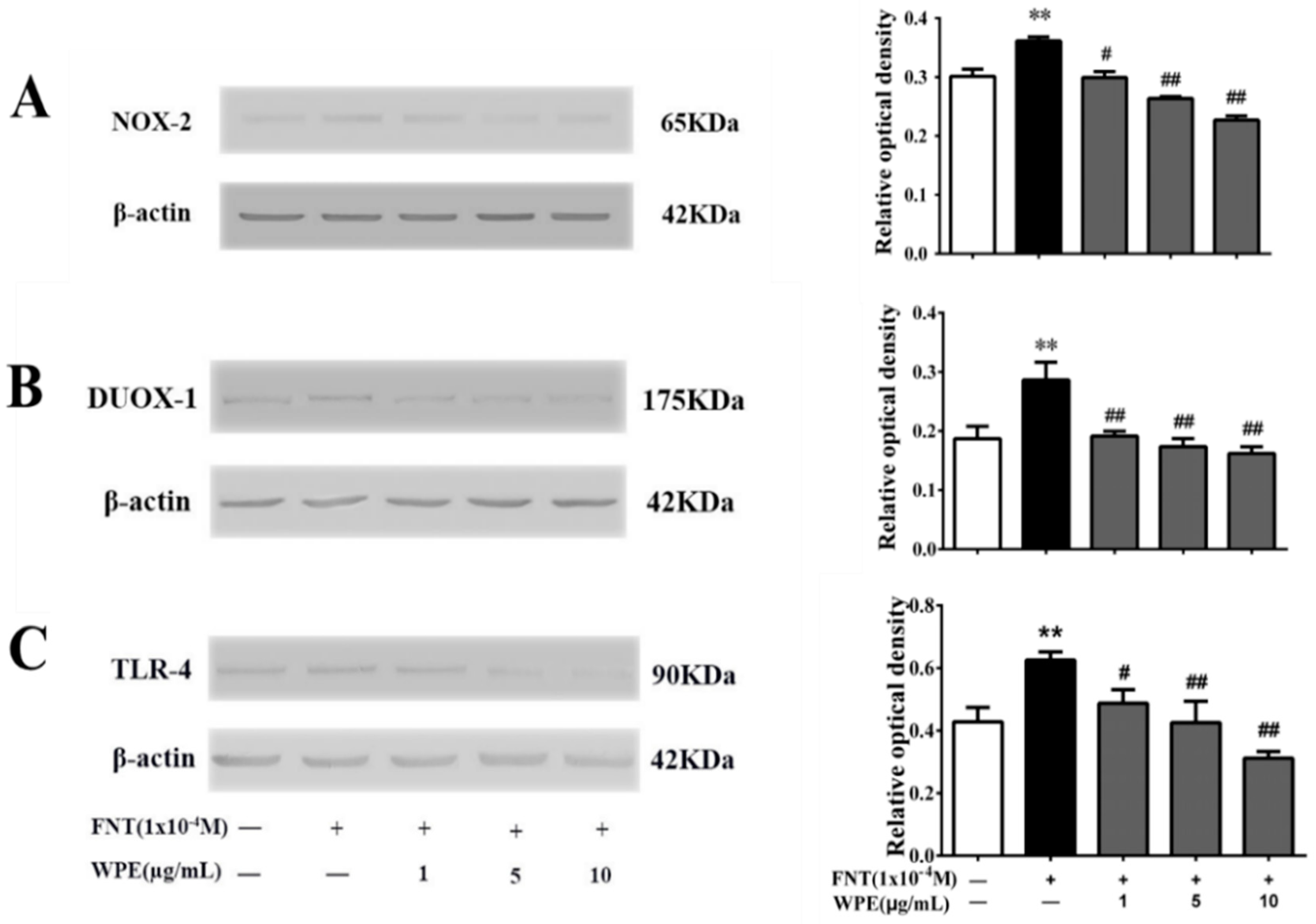 Nutrients 10 01838 g007 Nutrients 10 01838 g007