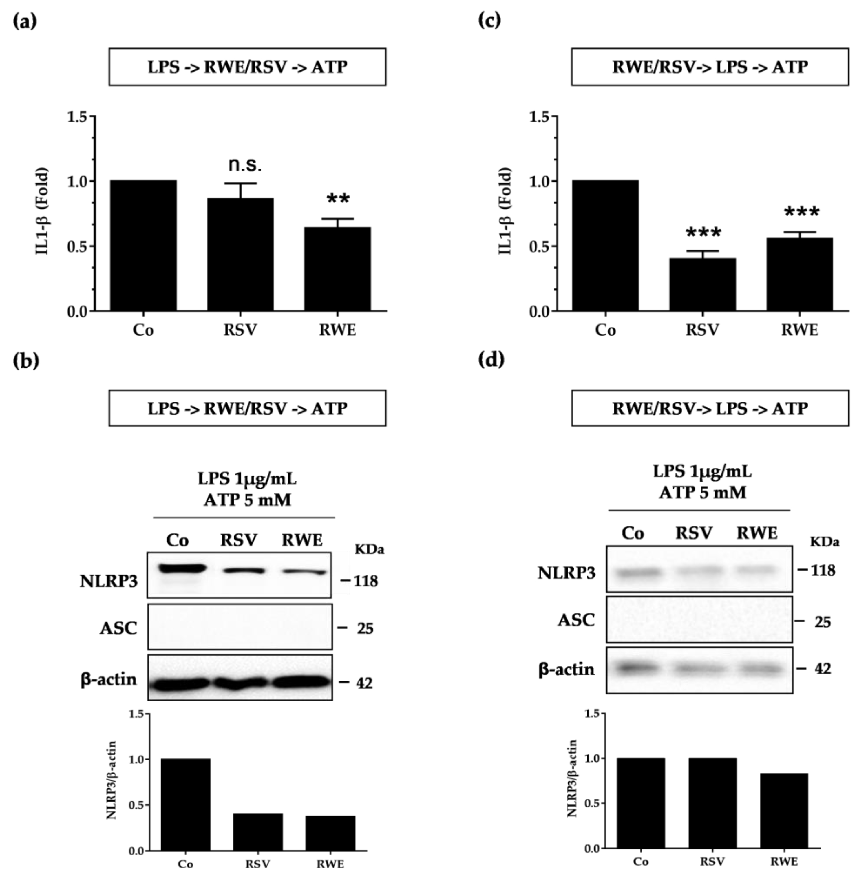 Nutrients 10 01856 g005