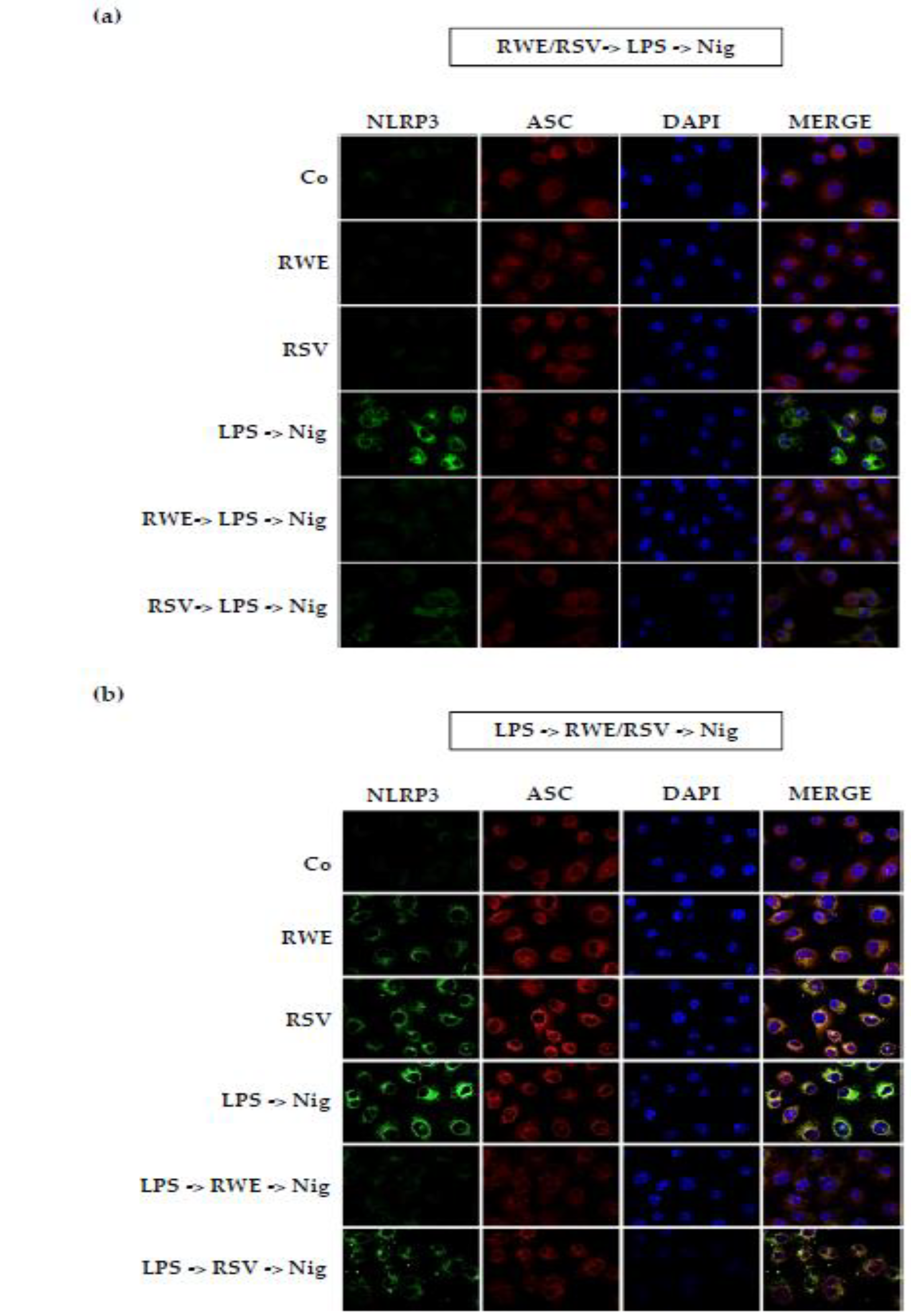 Nutrients 10 01856 g006