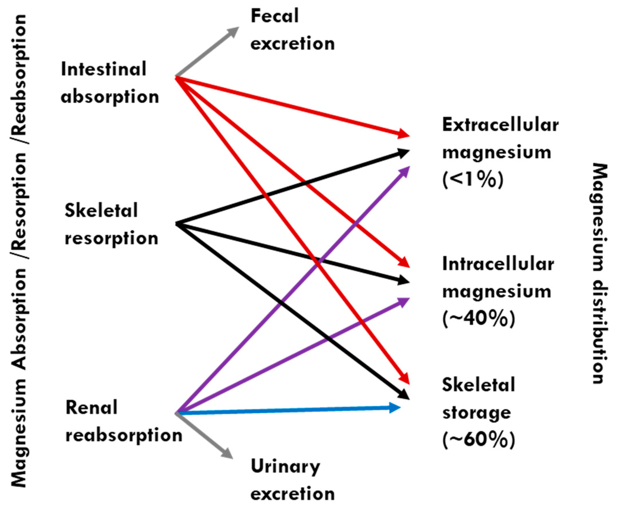 Nutrients 10 01863 g001