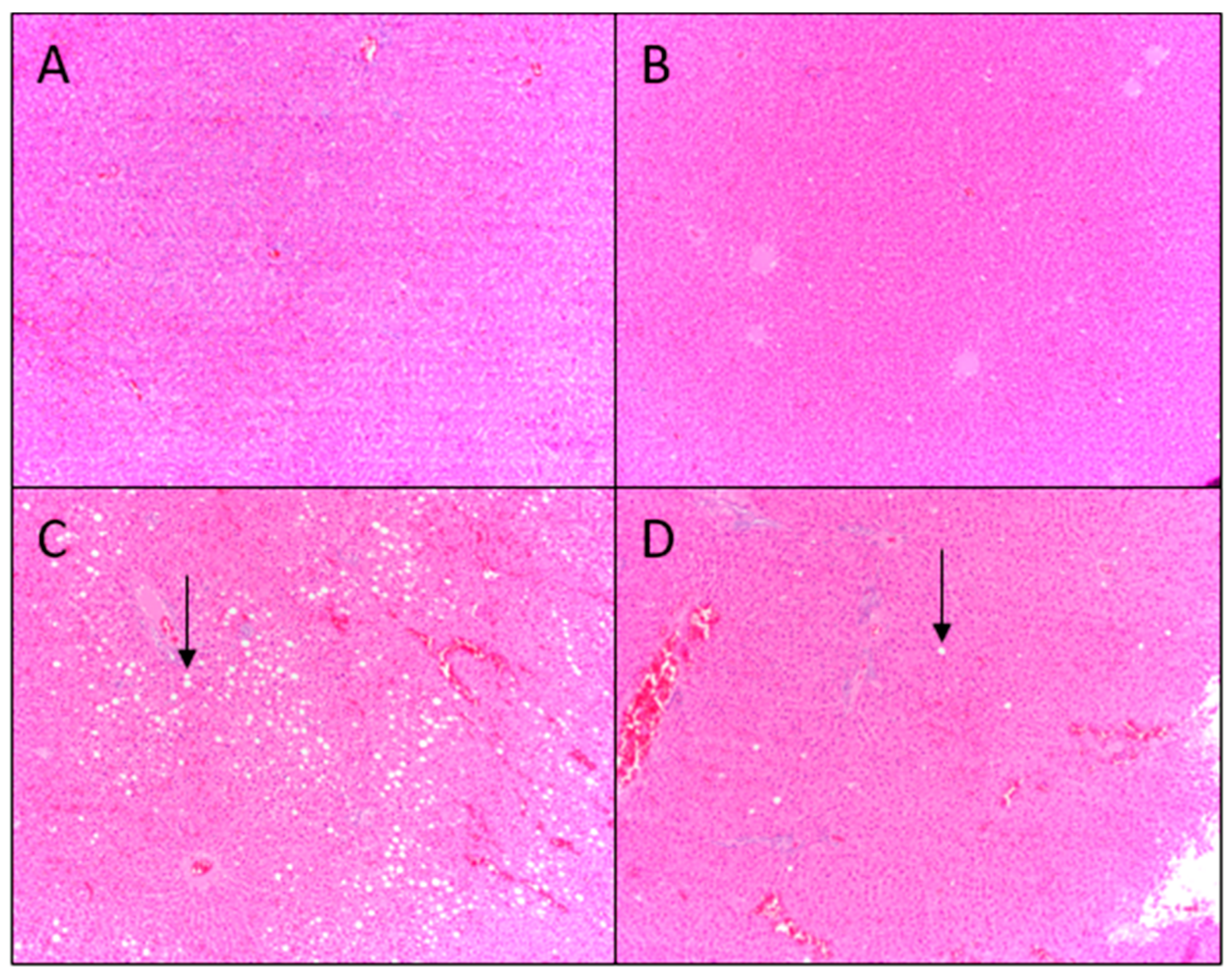 Nutrients 10 01882 g003 Nutrients 10 01882 g003