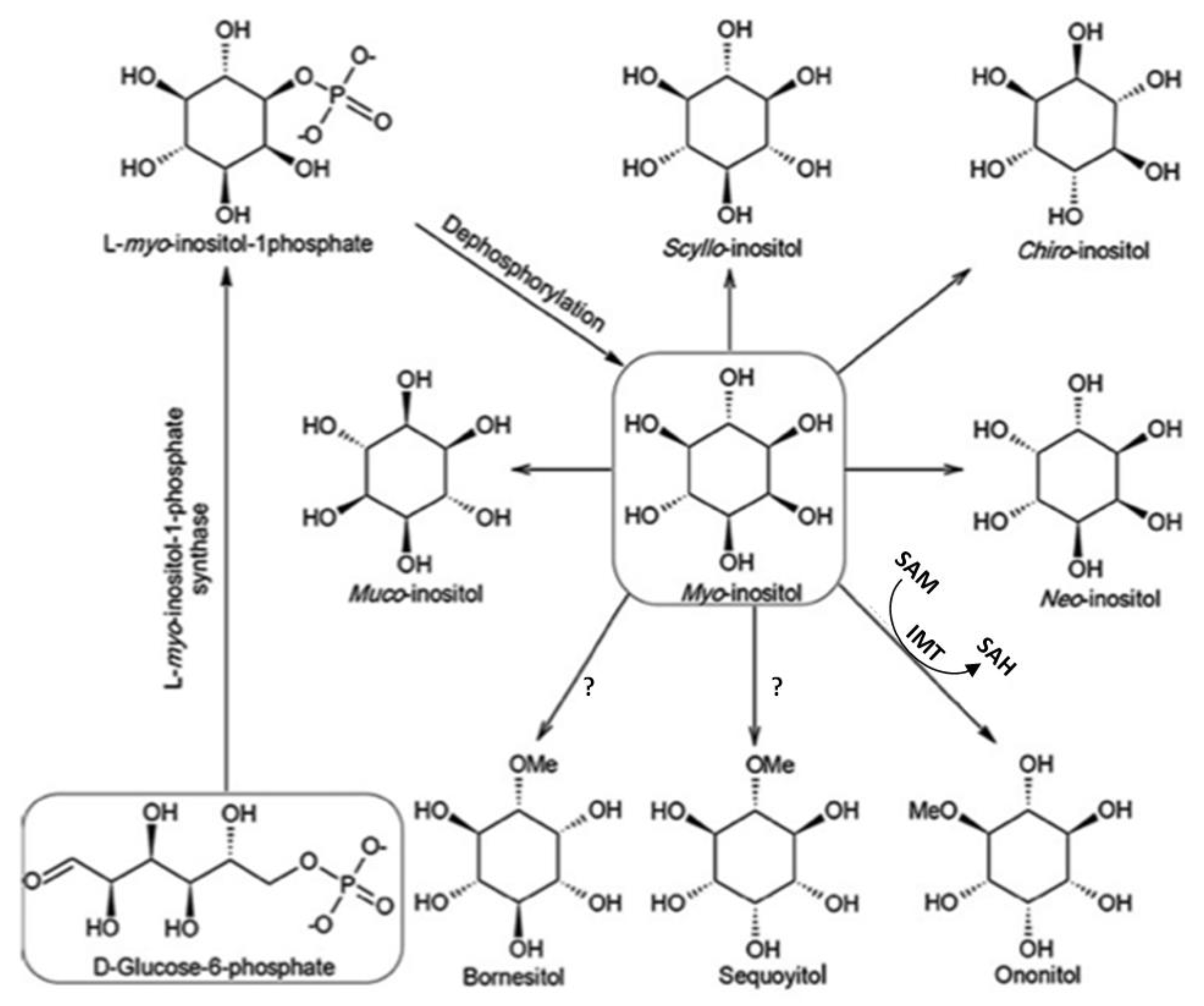 Nutrients 10 01891 g002