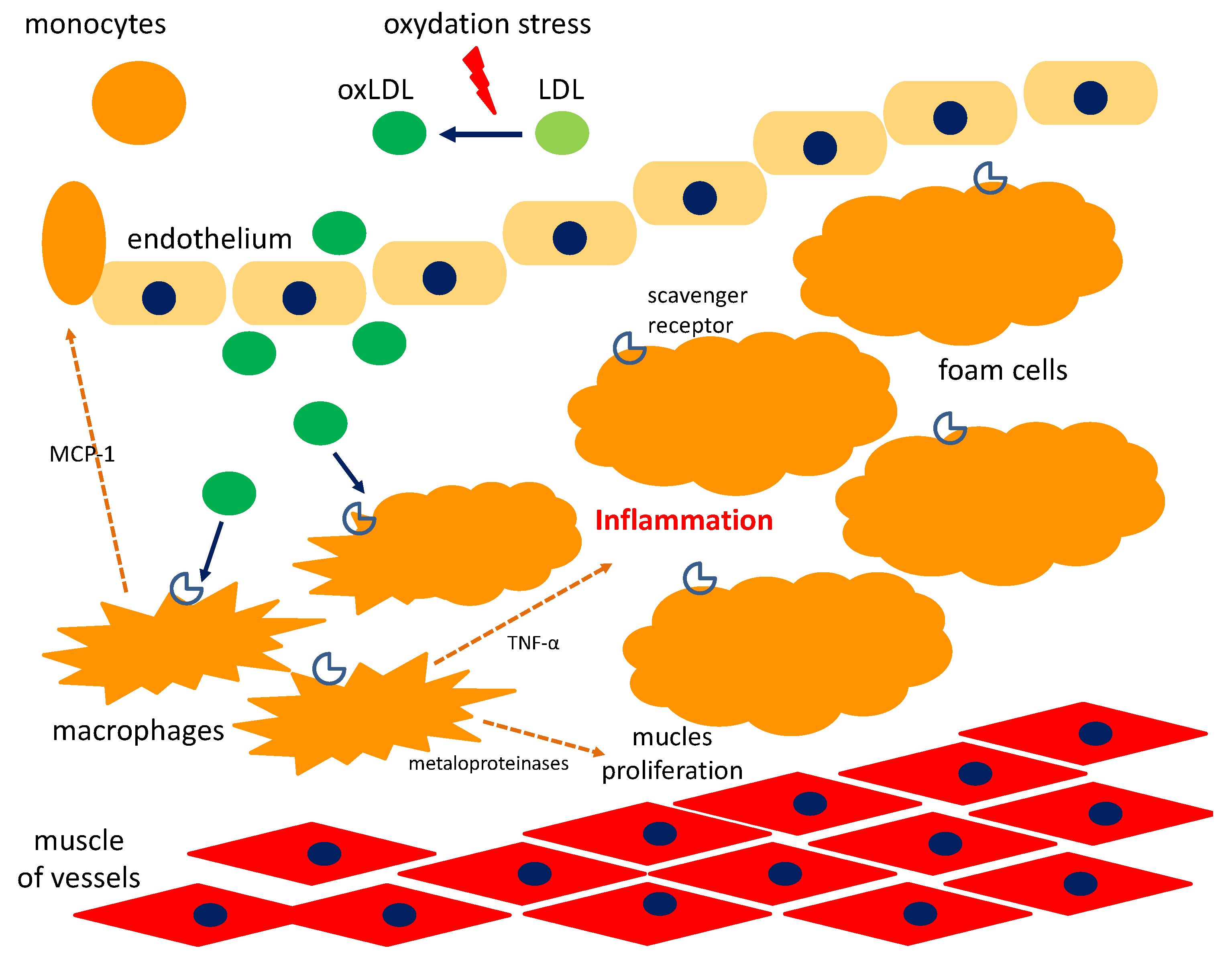 Nutrients 10 01891 g005