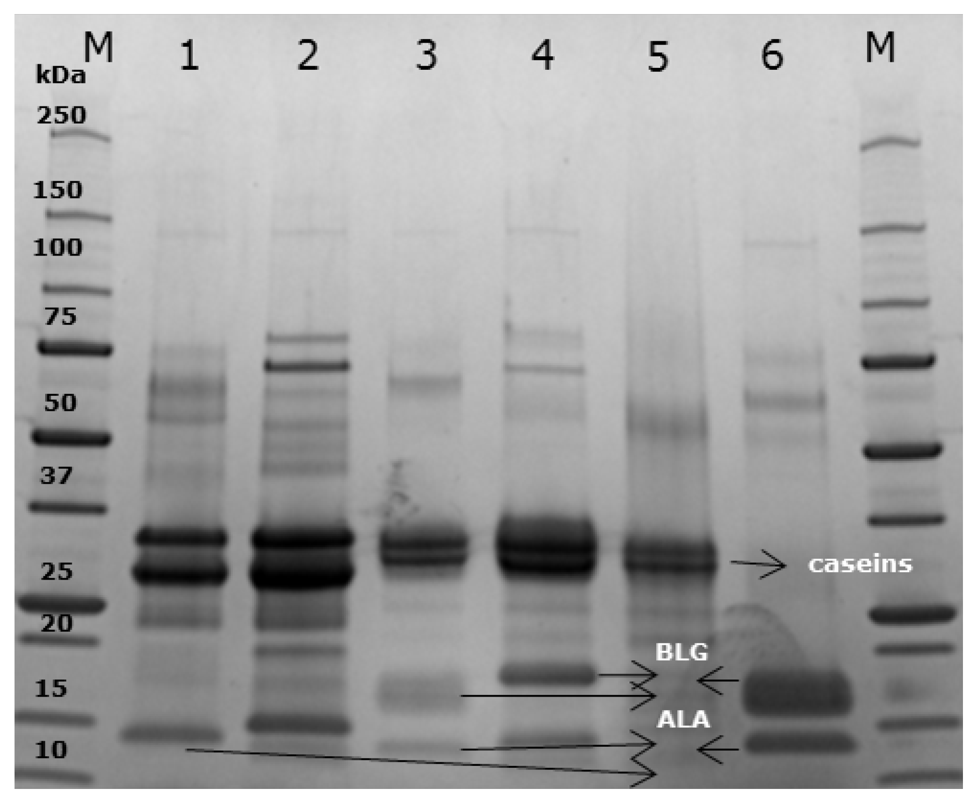 Nutrients 10 01903 g002
