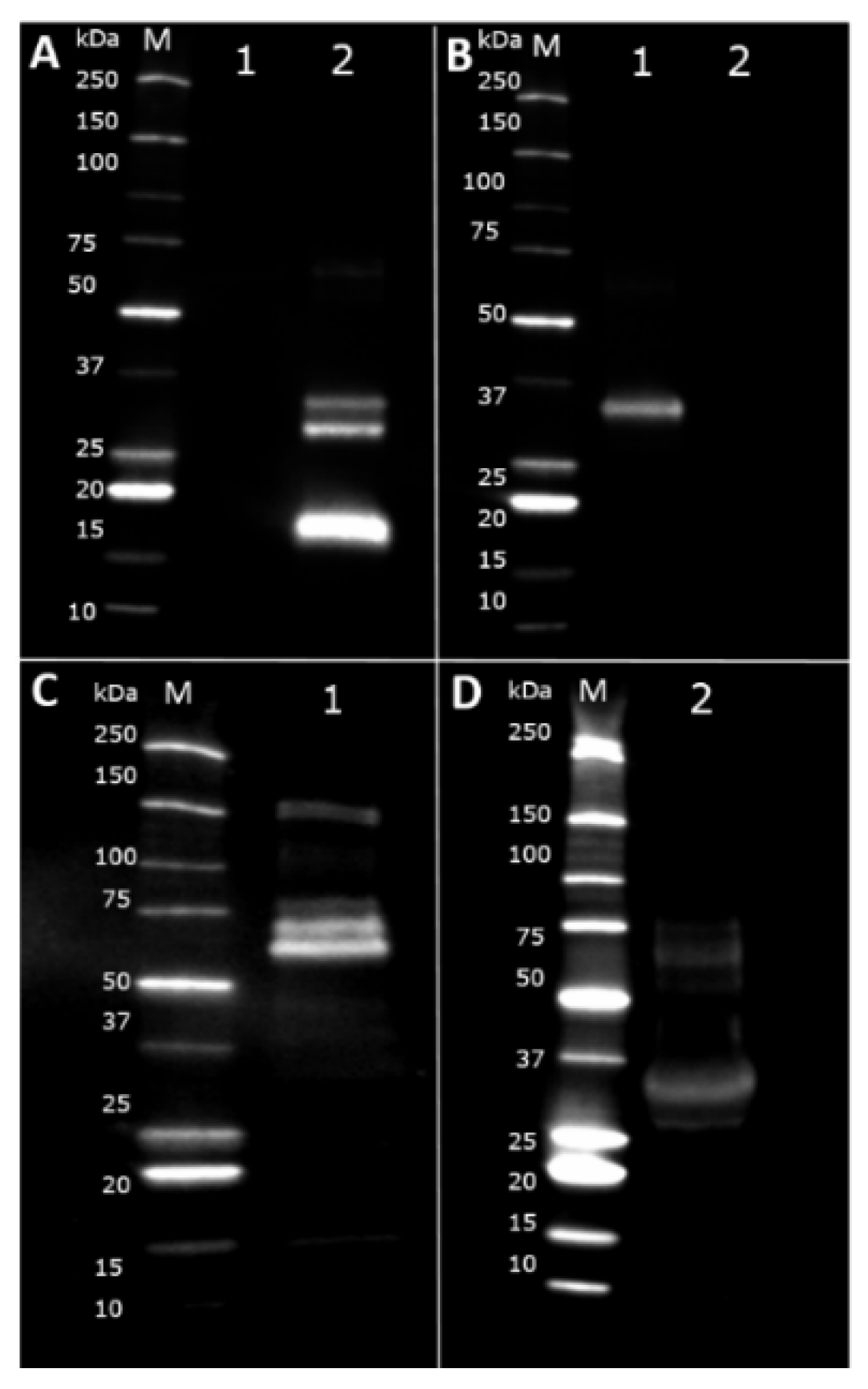 Nutrients 10 01903 g008