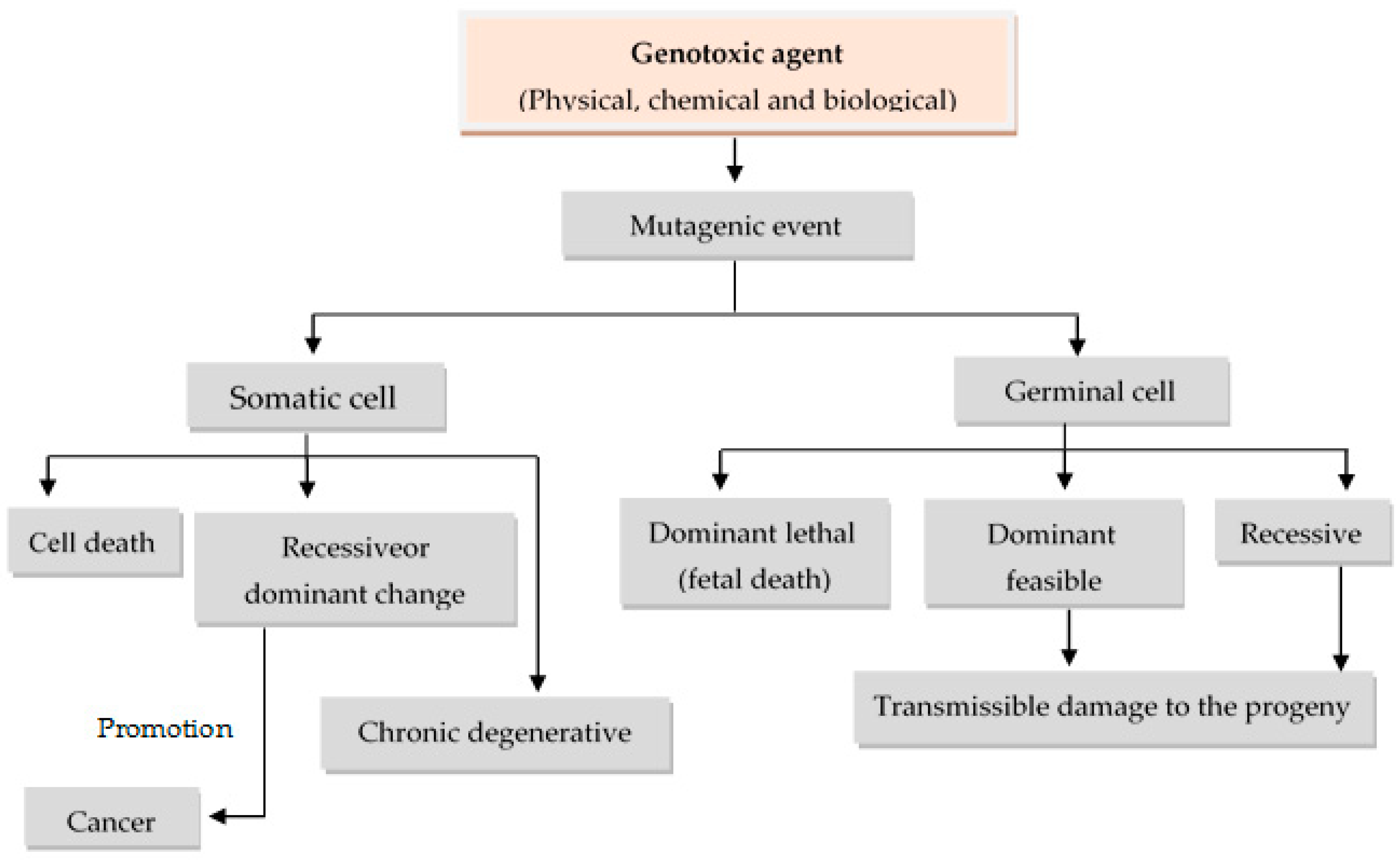 Nutrients 10 01954 g001