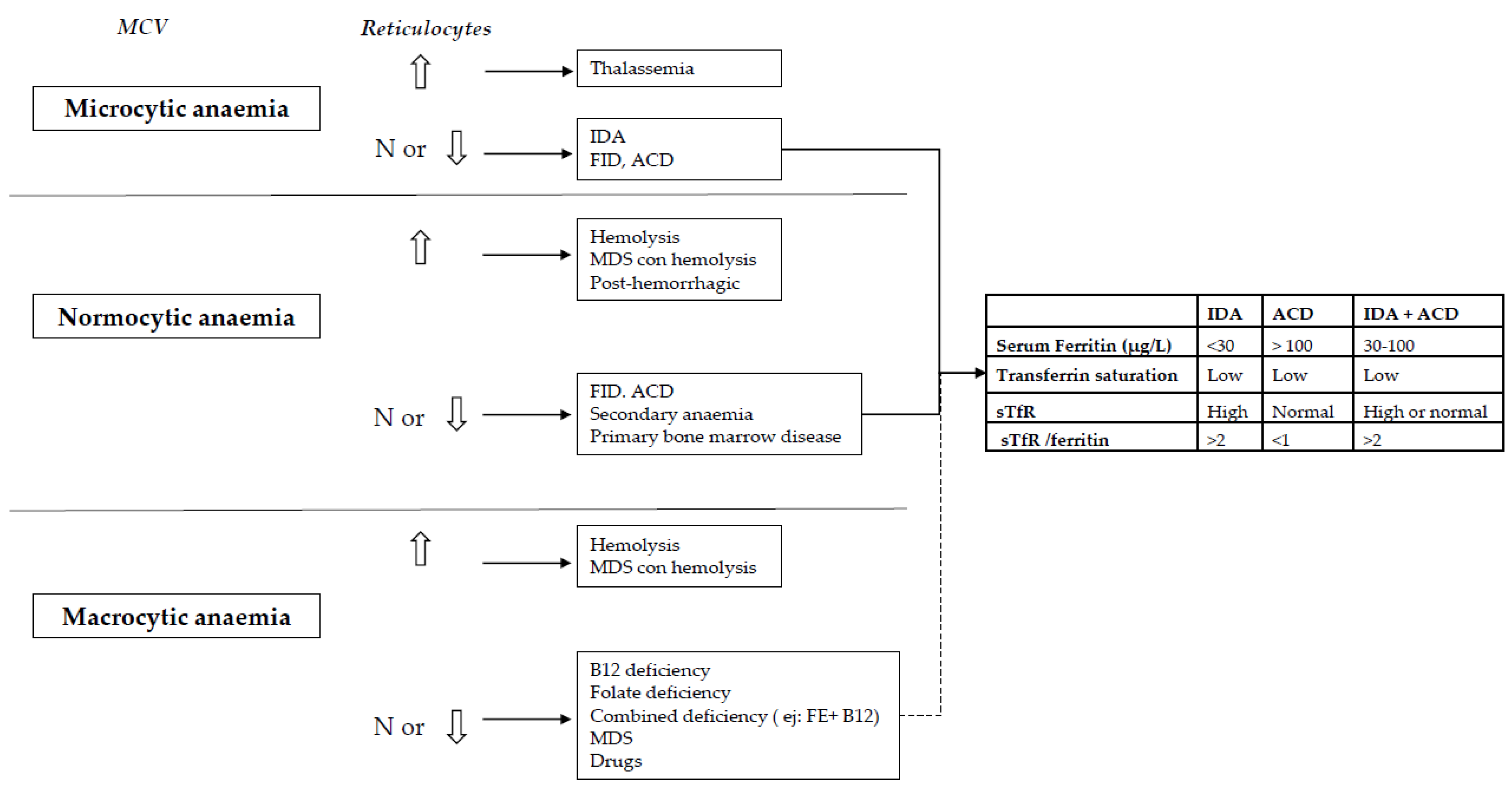 Nutrients 10 01959 g001 Nutrients 10 01959 g001