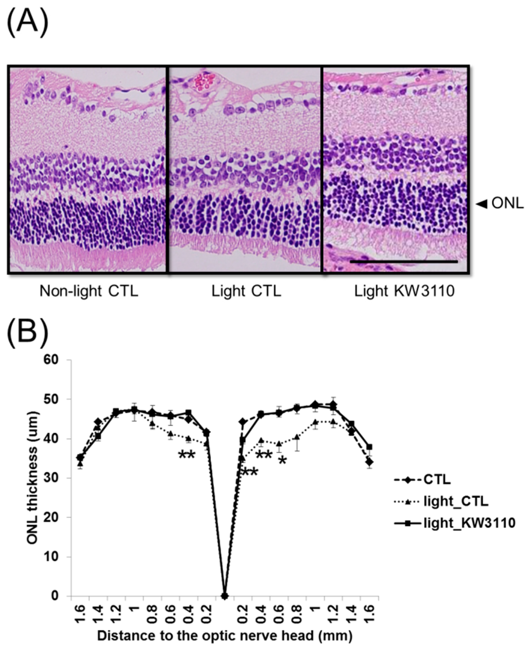 Nutrients 10 01991 g003
