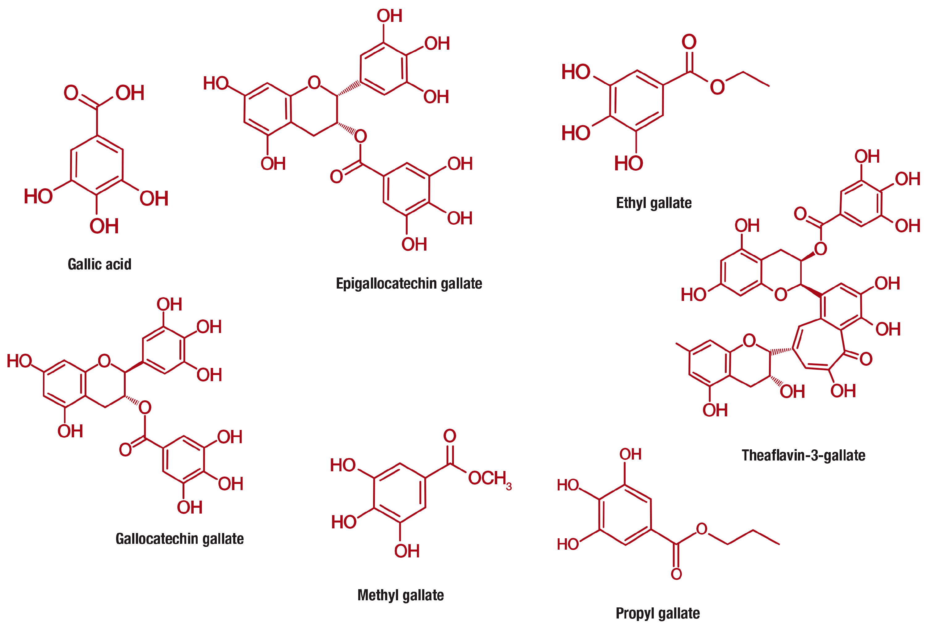 Nutrients 11 00023 g003 Nutrients 11 00023 g003
