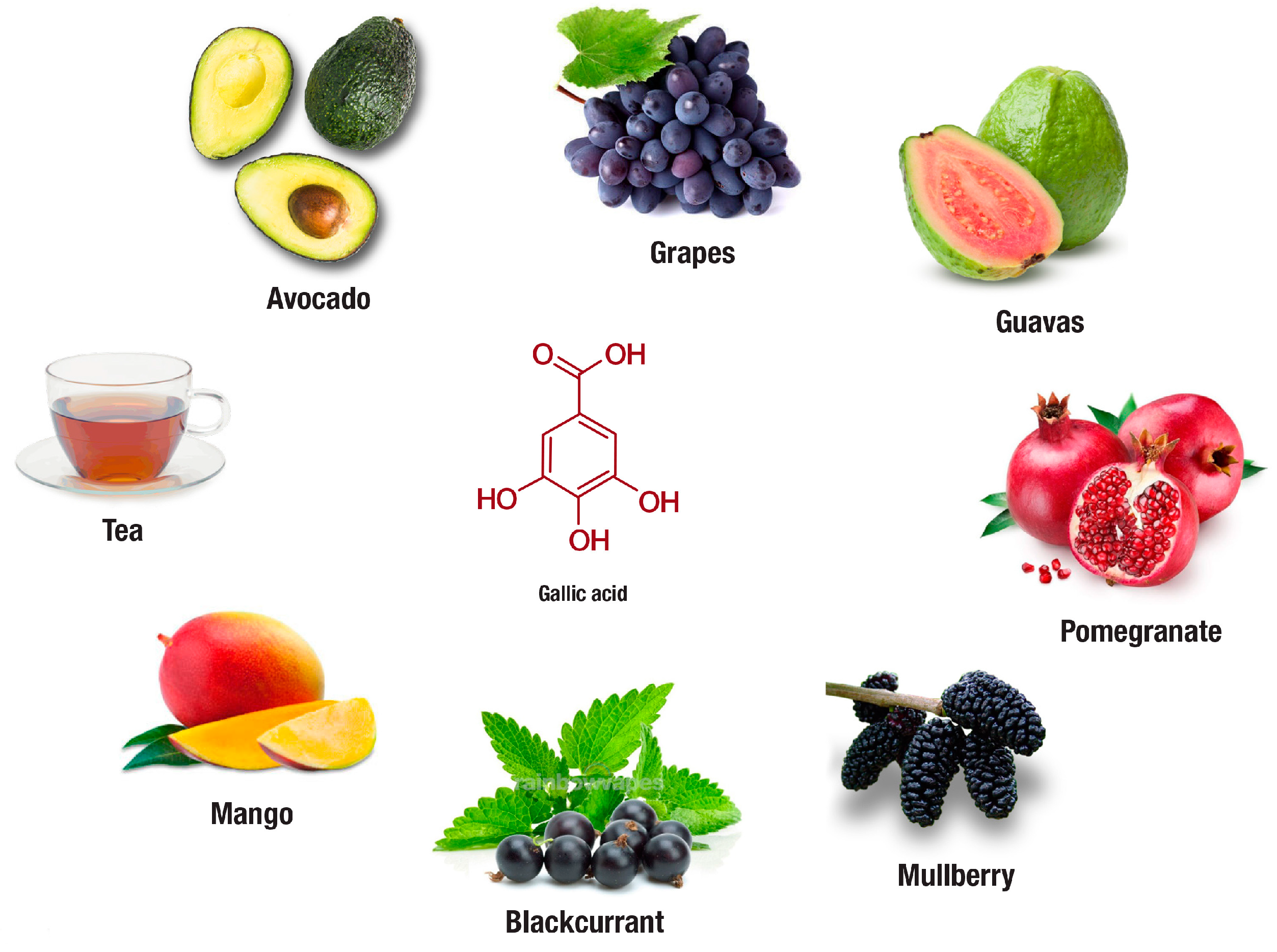 Nutrients 11 00023 g004 Nutrients 11 00023 g004