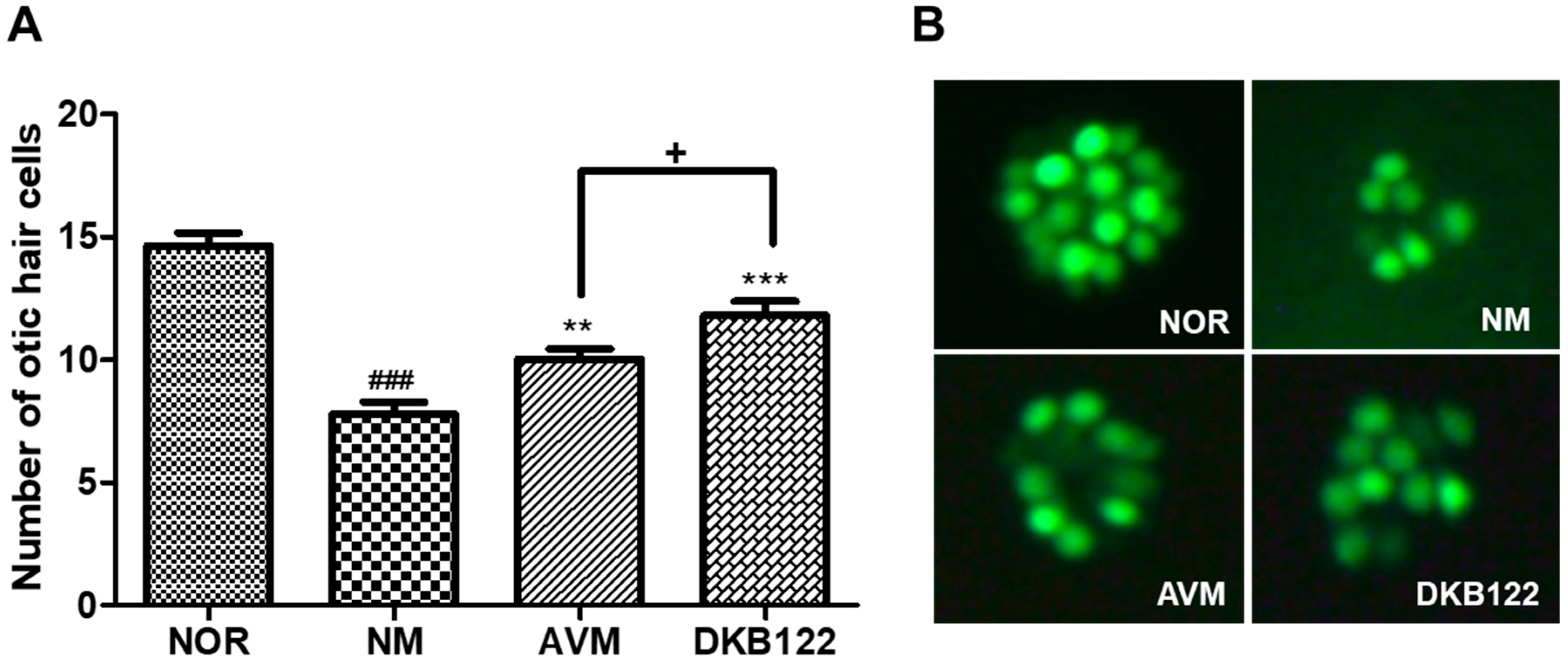 Nutrients 11 00113 g001 Nutrients 11 00113 g001