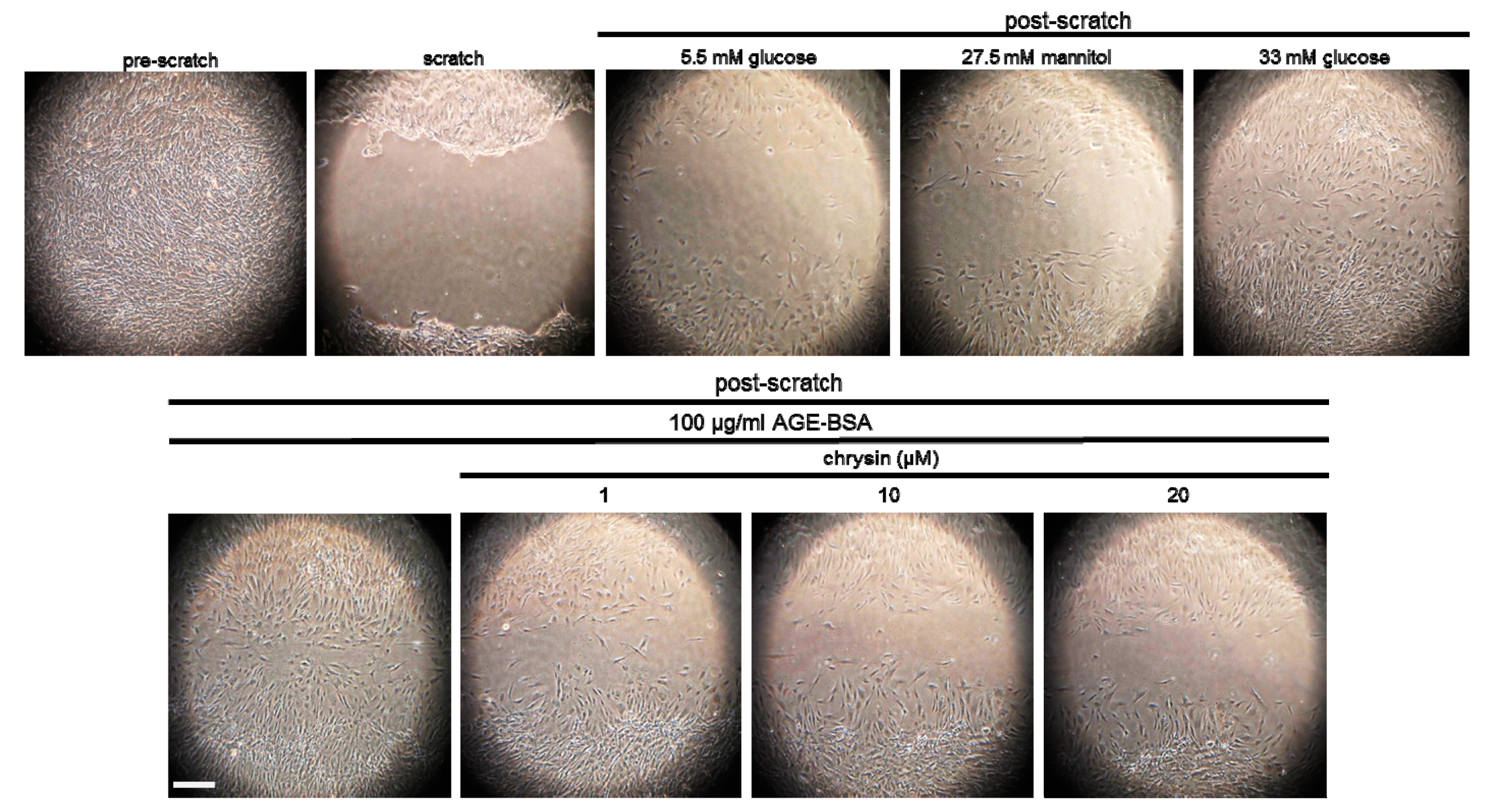 Nutrients 11 00127 g004 Nutrients 11 00127 g004