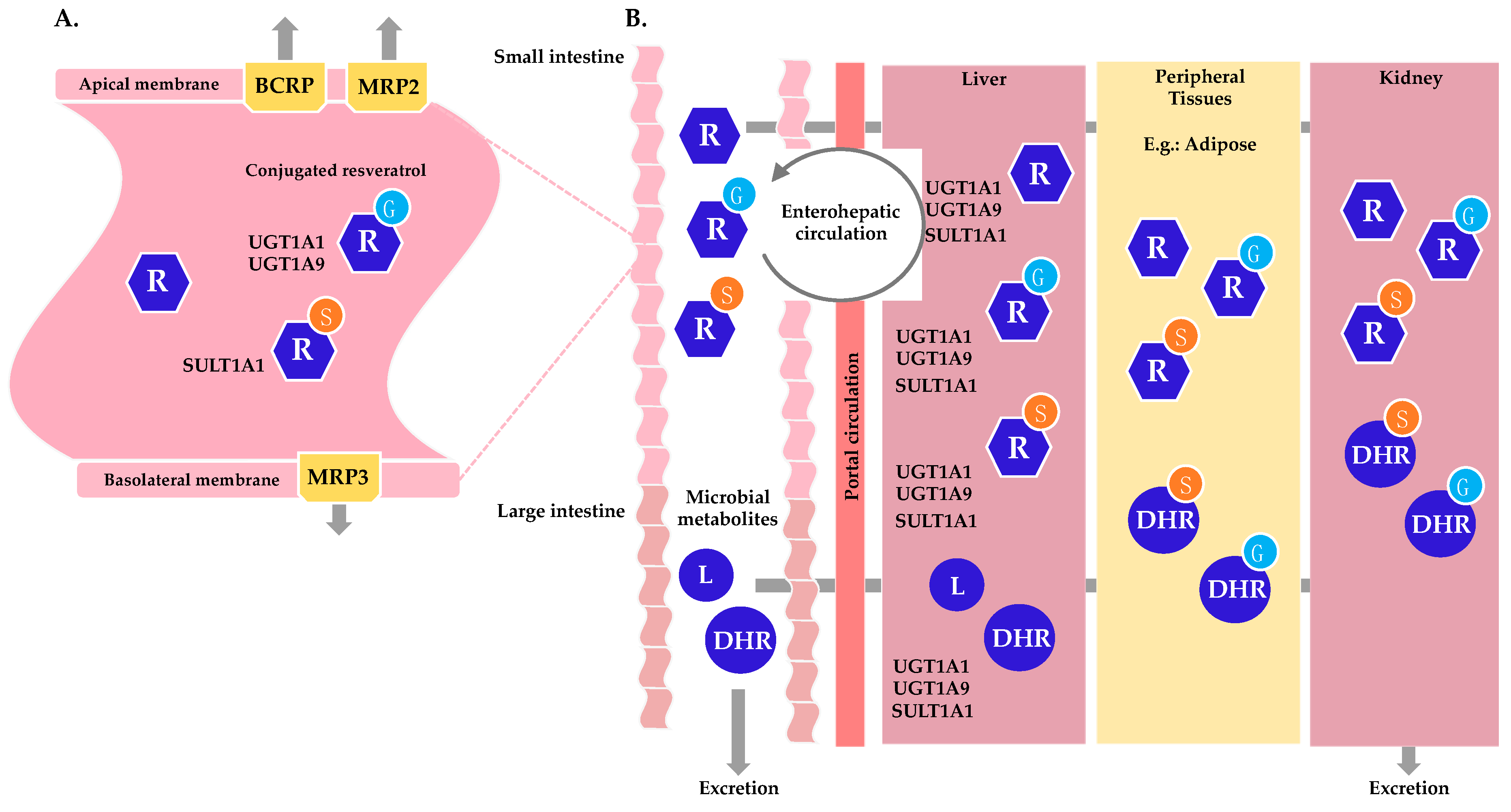 Nutrients 11 00143 g002