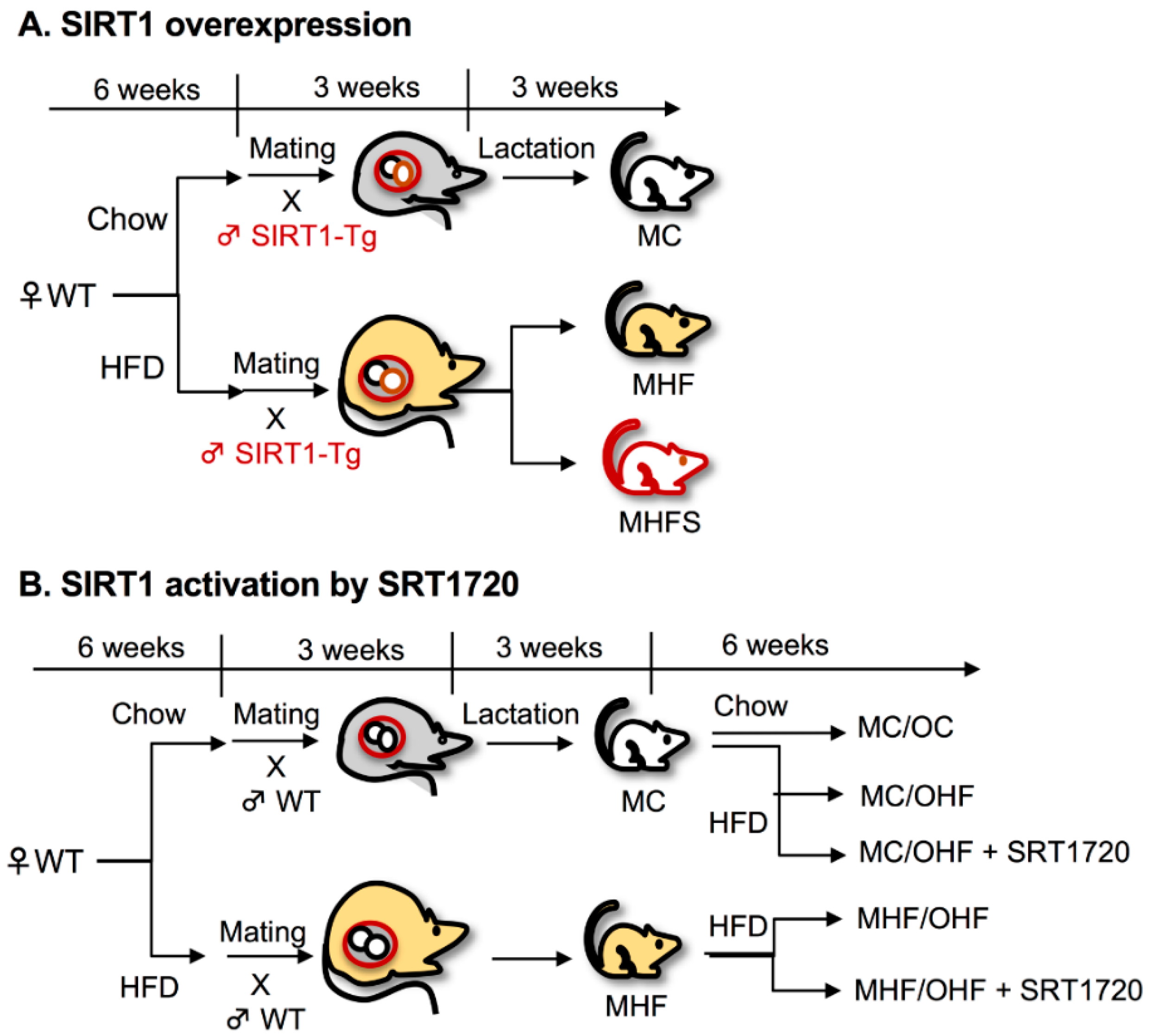 Nutrients 11 00146 g001 Nutrients 11 00146 g001