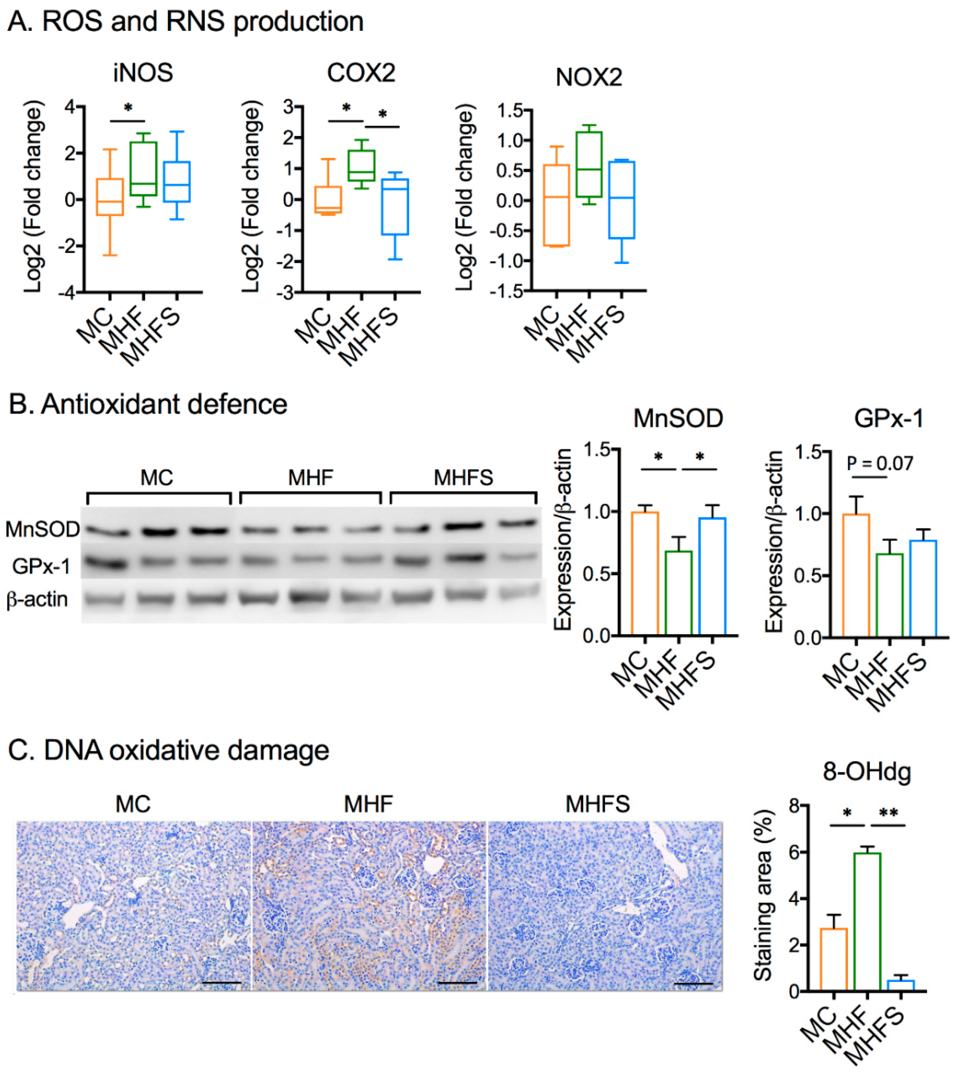 Nutrients 11 00146 g003 Nutrients 11 00146 g003