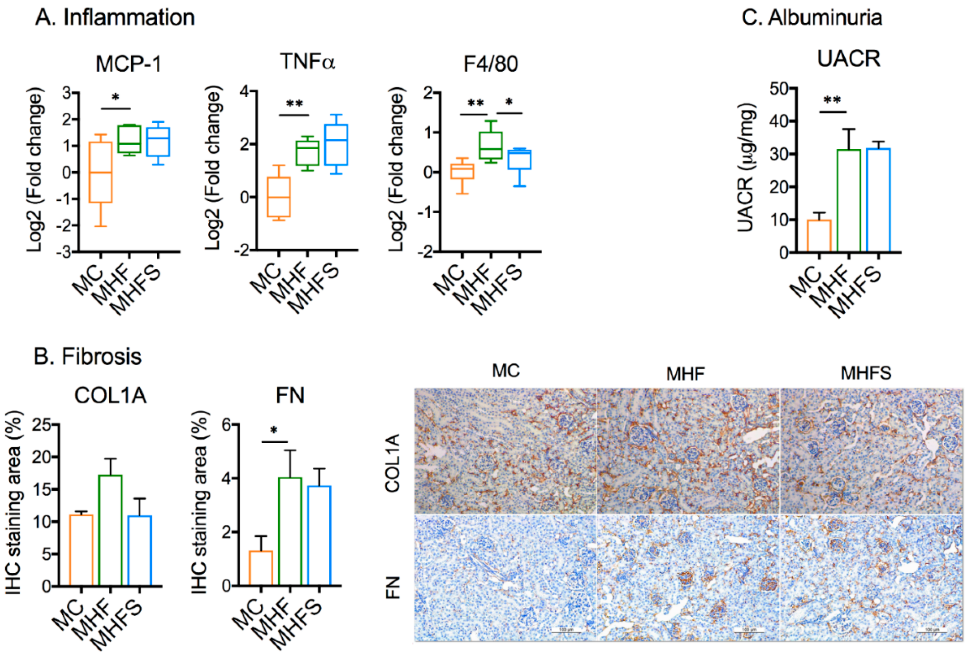 Nutrients 11 00146 g004 Nutrients 11 00146 g004