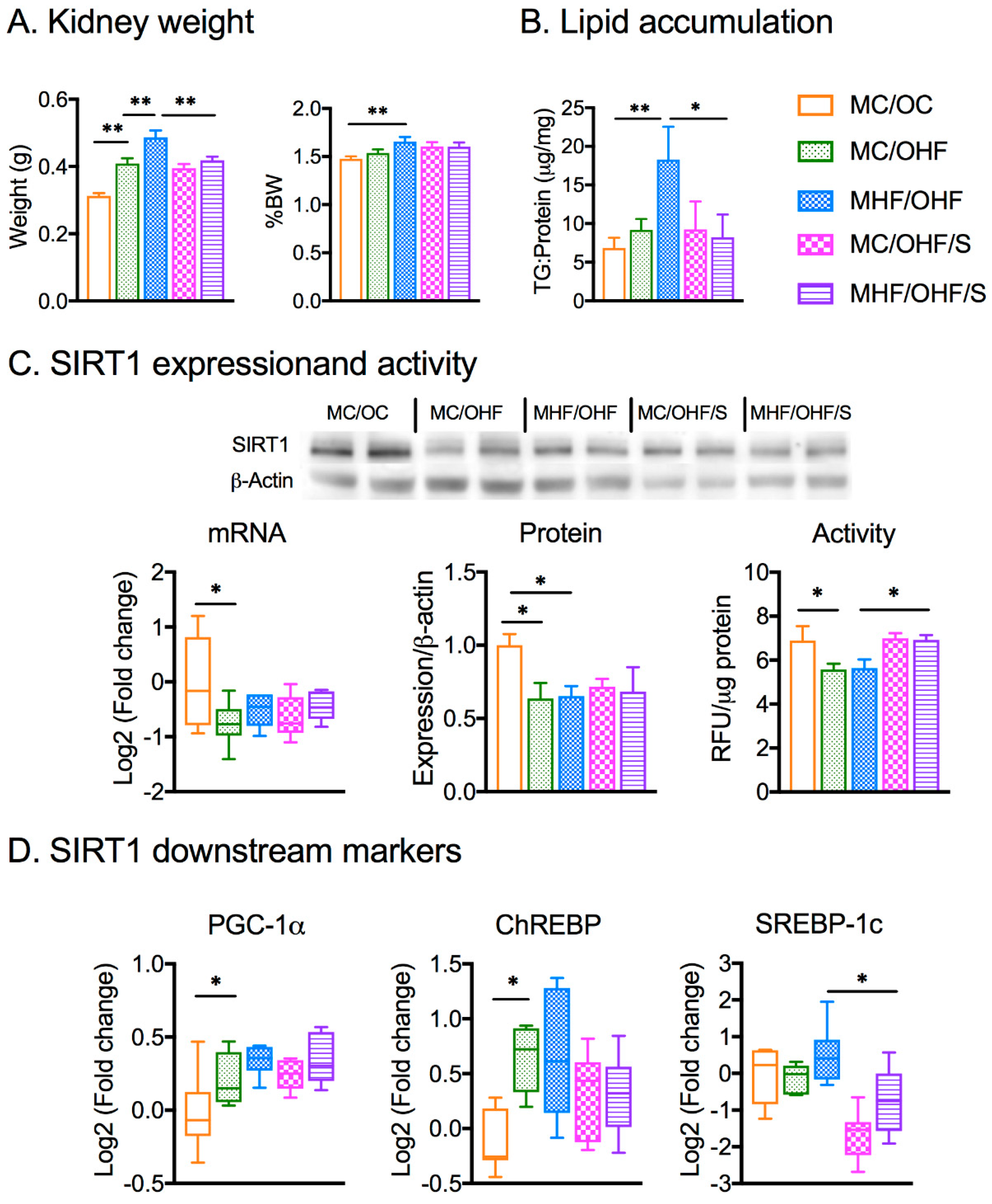 Nutrients 11 00146 g005 Nutrients 11 00146 g005