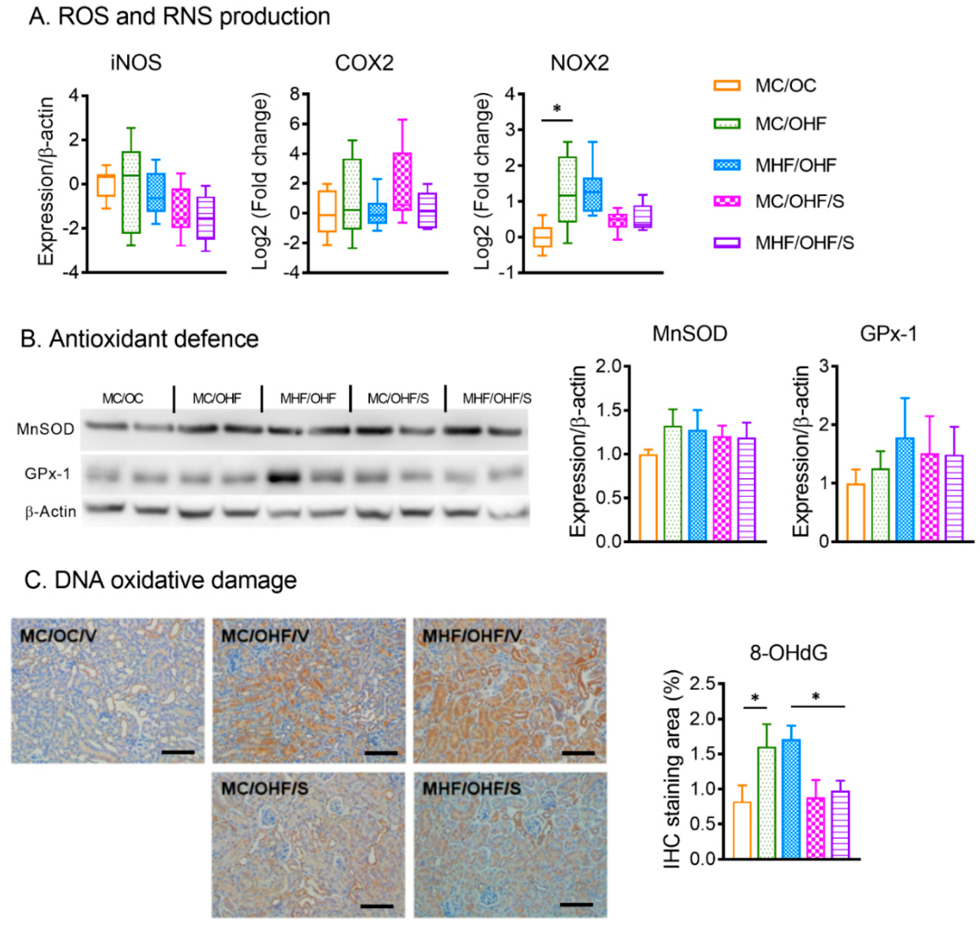 Nutrients 11 00146 g006 Nutrients 11 00146 g006