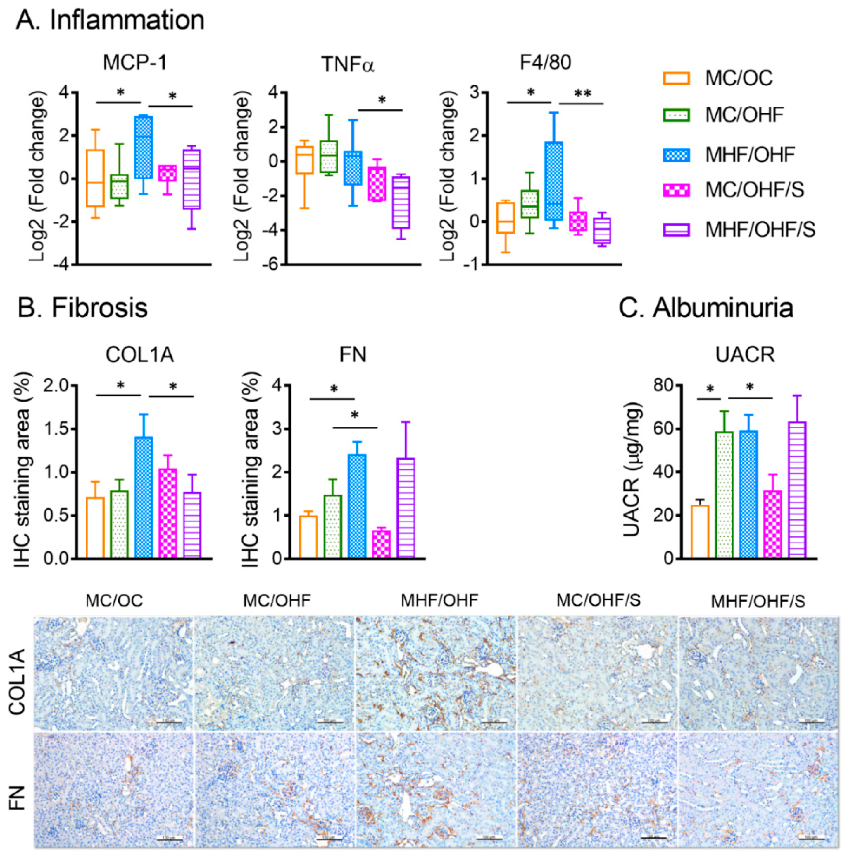 Nutrients 11 00146 g007 Nutrients 11 00146 g007