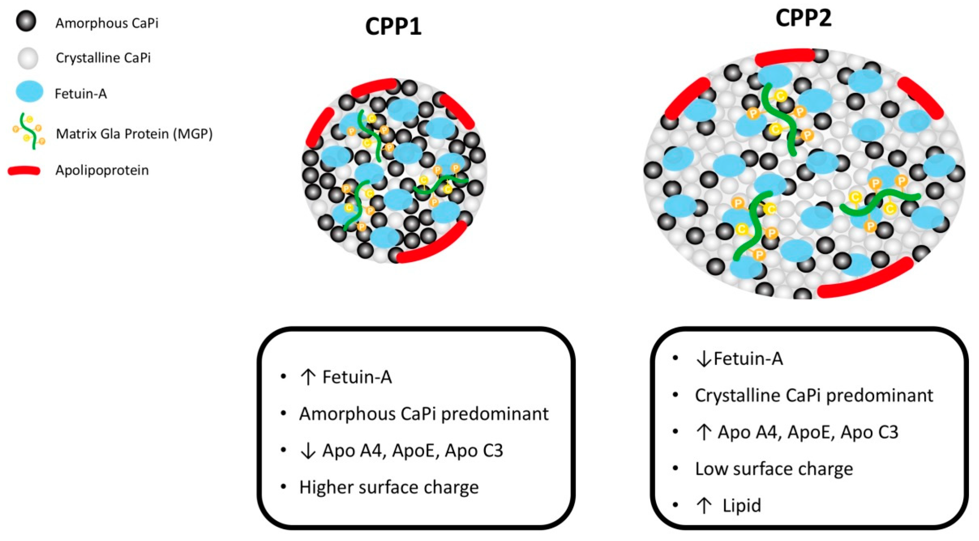 Nutrients 11 00152 g001