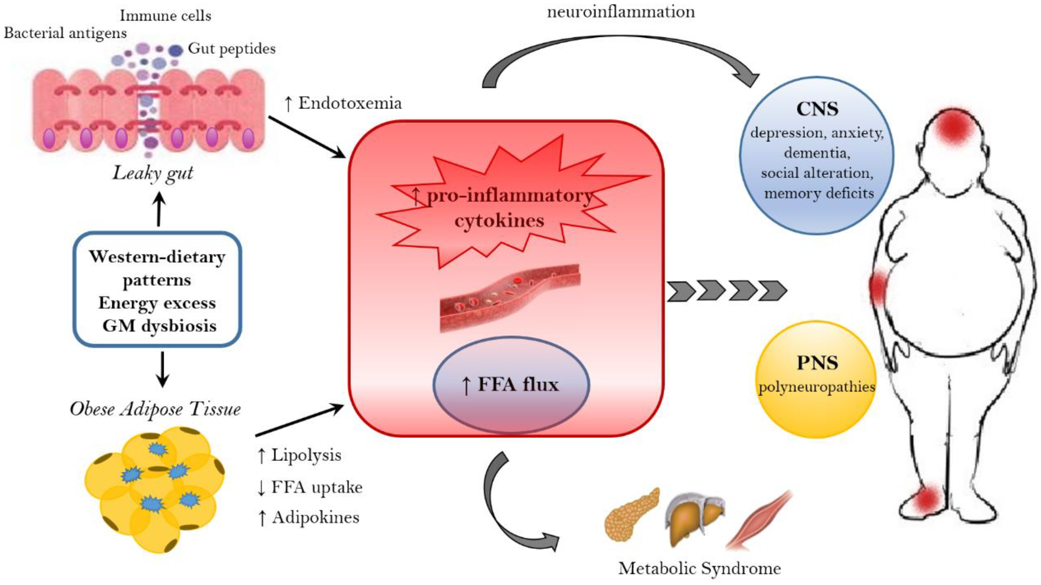 Nutrients 11 00156 g001