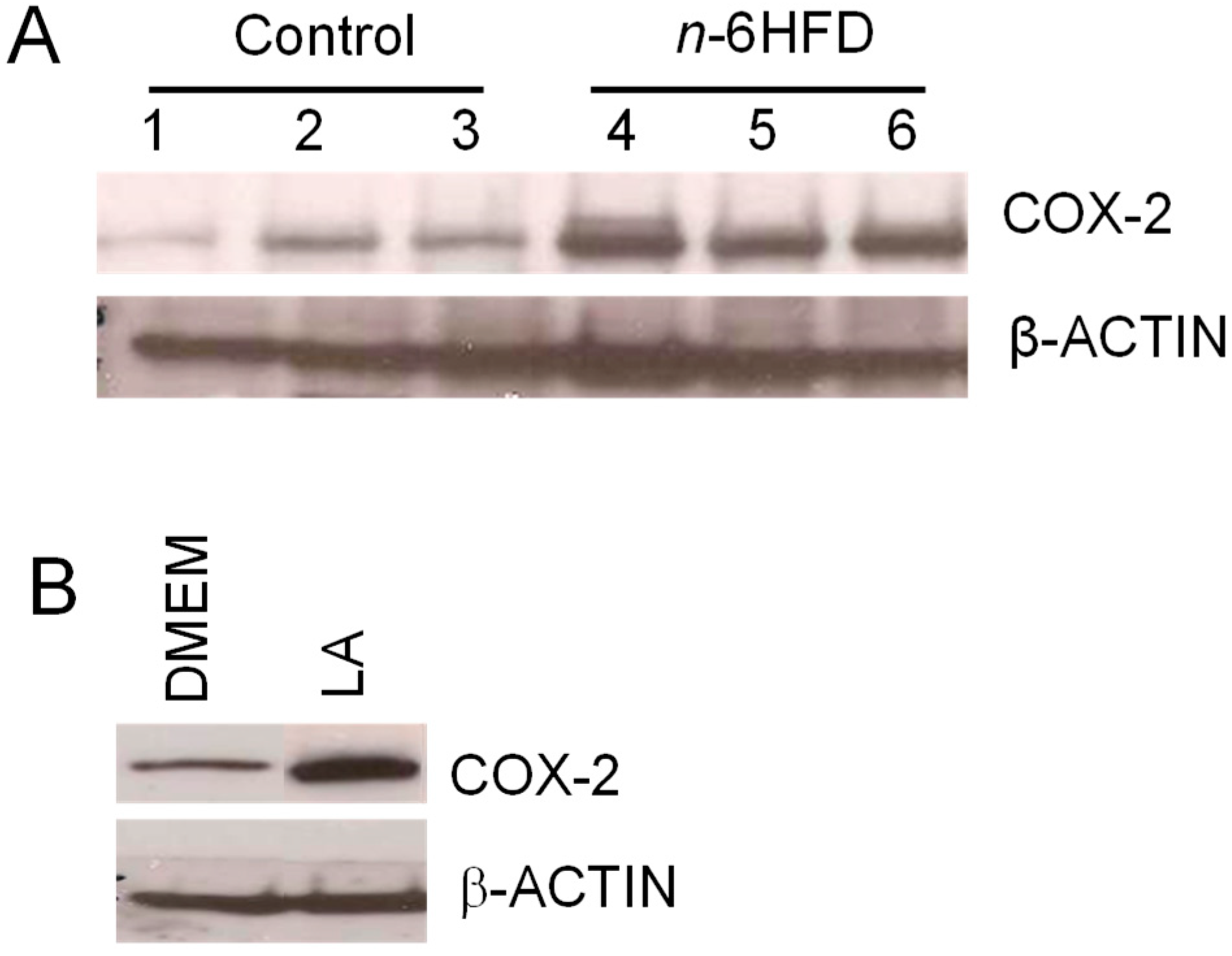 Nutrients 11 00171 g004 Nutrients 11 00171 g004