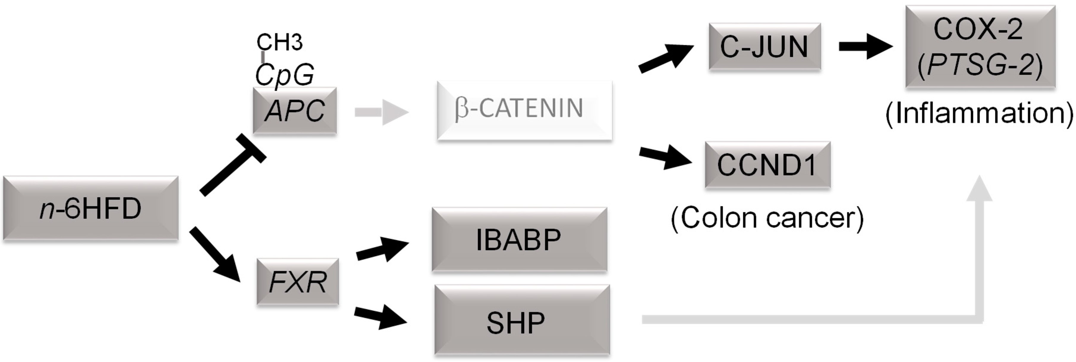 Nutrients 11 00171 g006 Nutrients 11 00171 g006