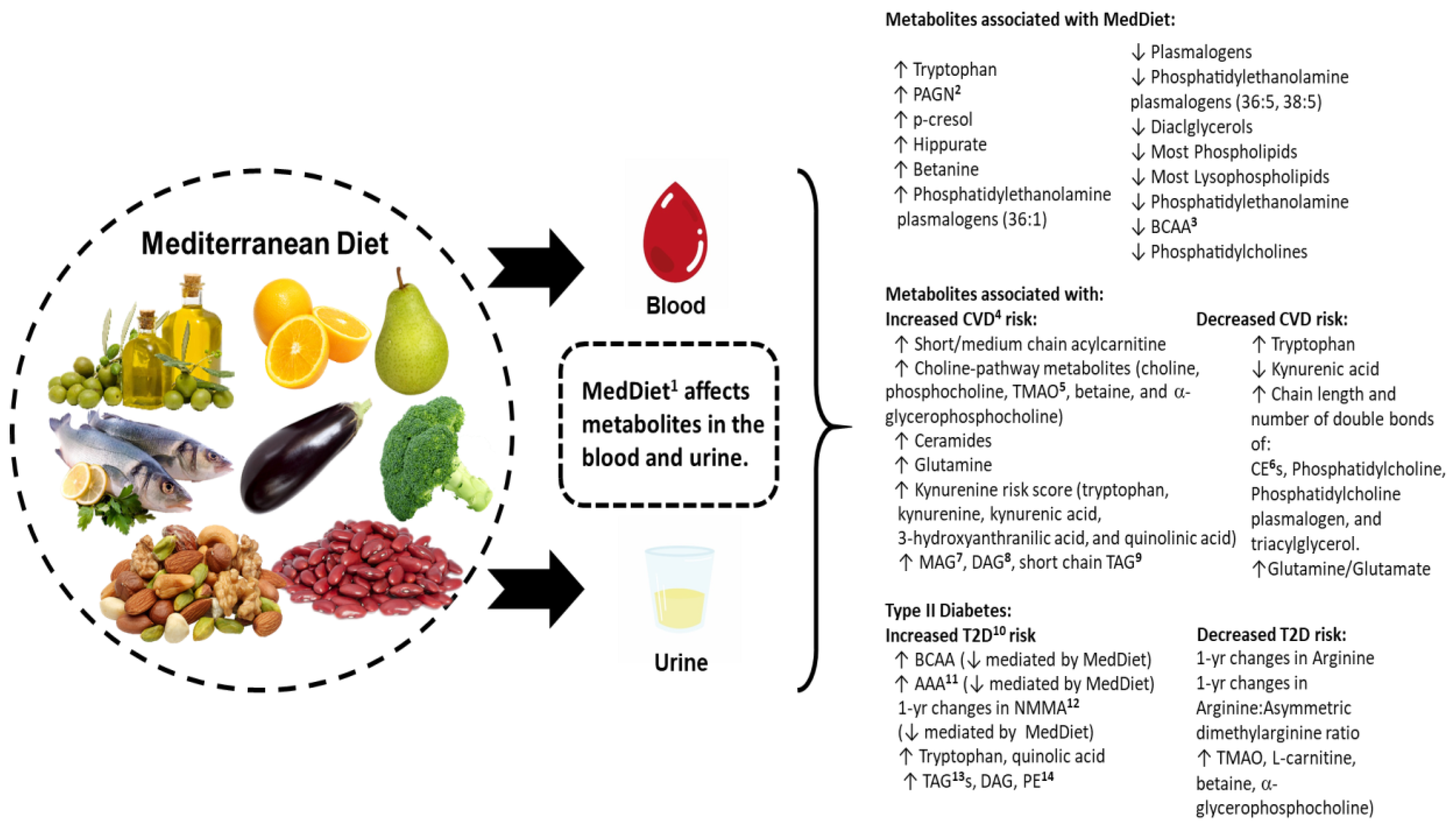 Nutrients 11 00207 g001 Nutrients 11 00207 g001