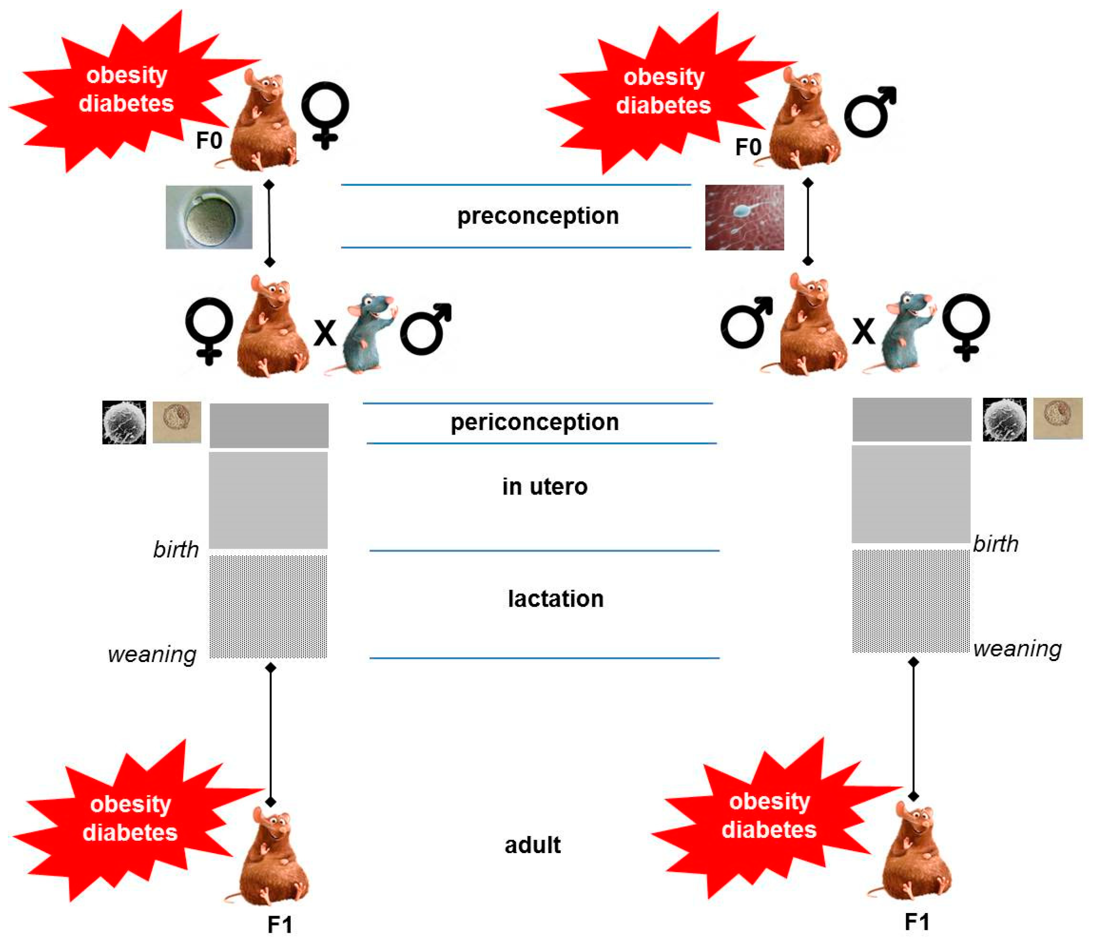 Nutrients 11 00233 g001