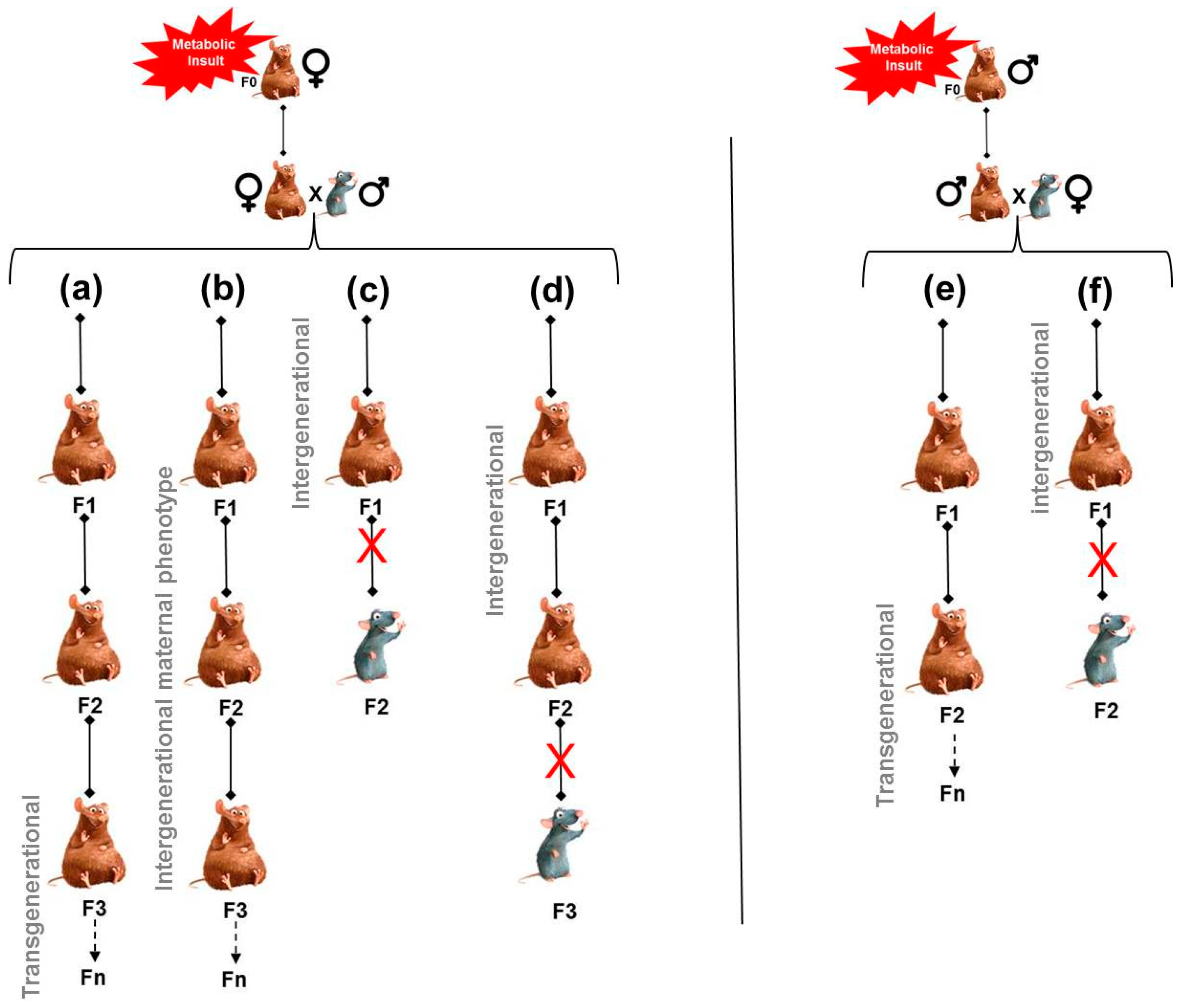 Nutrients 11 00233 g002