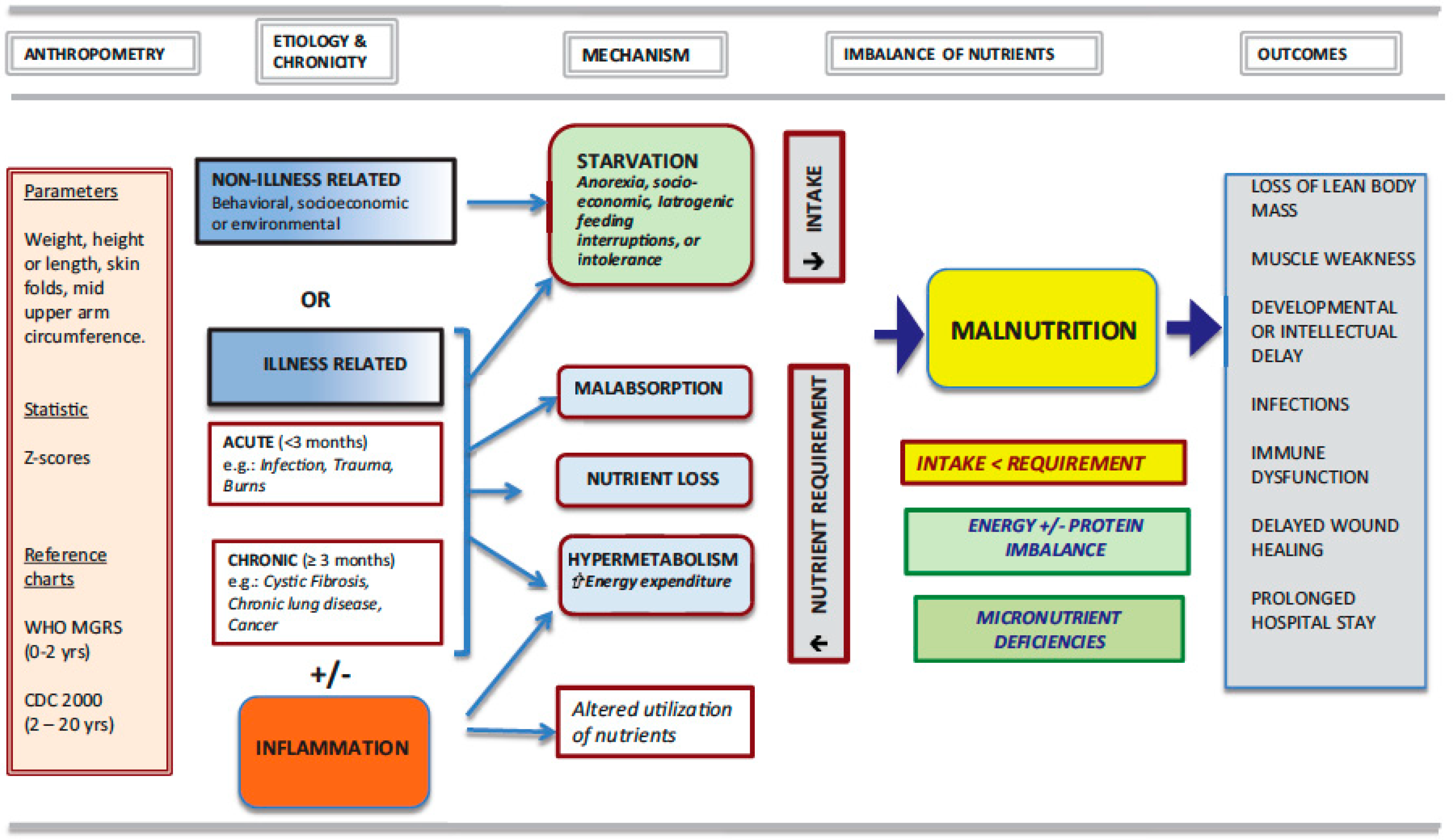Nutrients 11 00236 g001 Nutrients 11 00236 g001