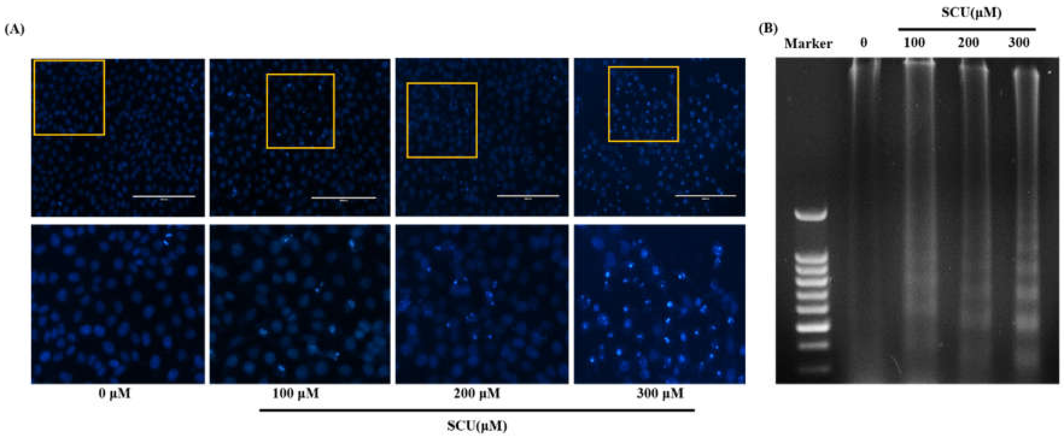 Nutrients 11 00263 g004