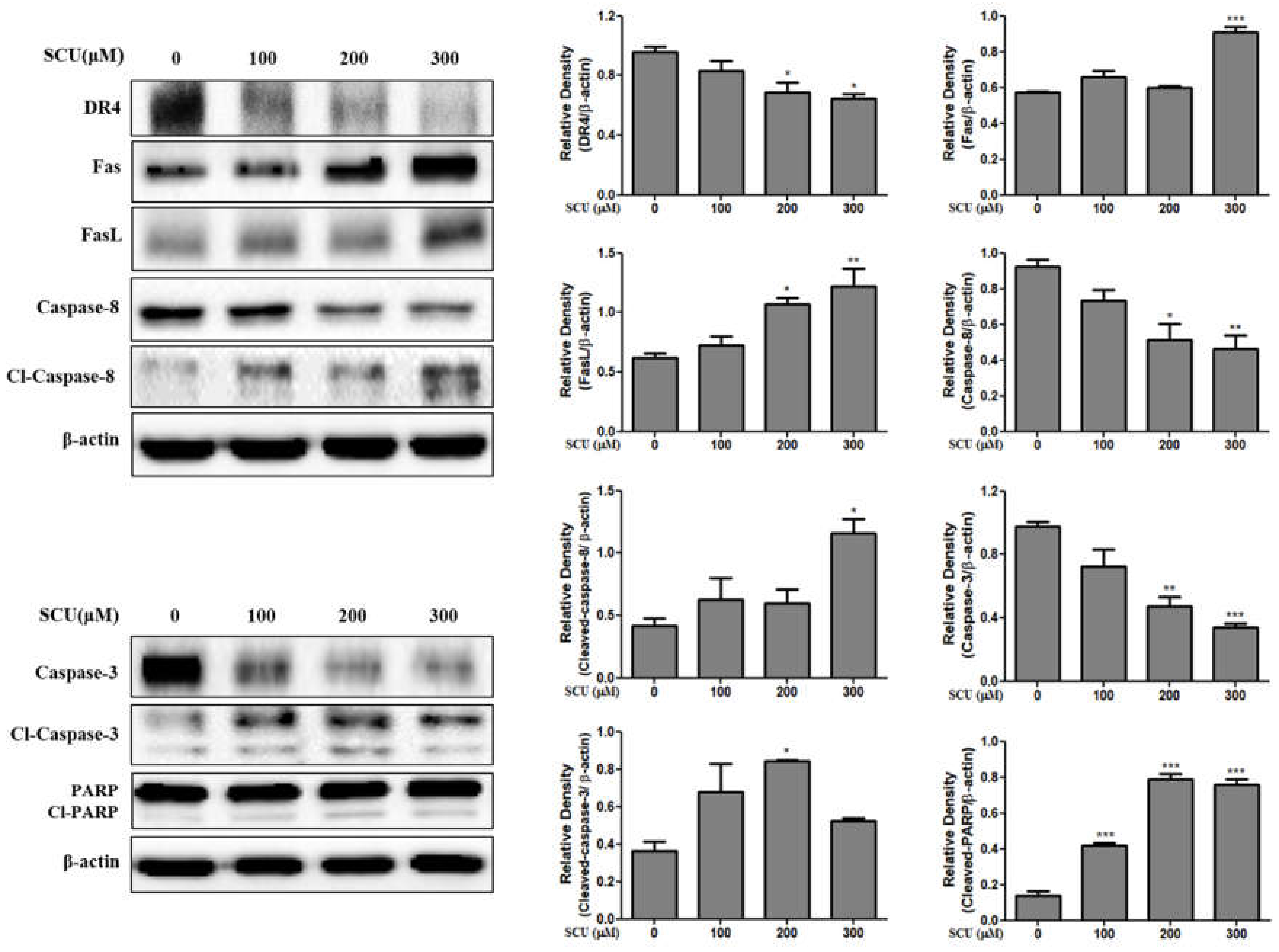 Nutrients 11 00263 g006