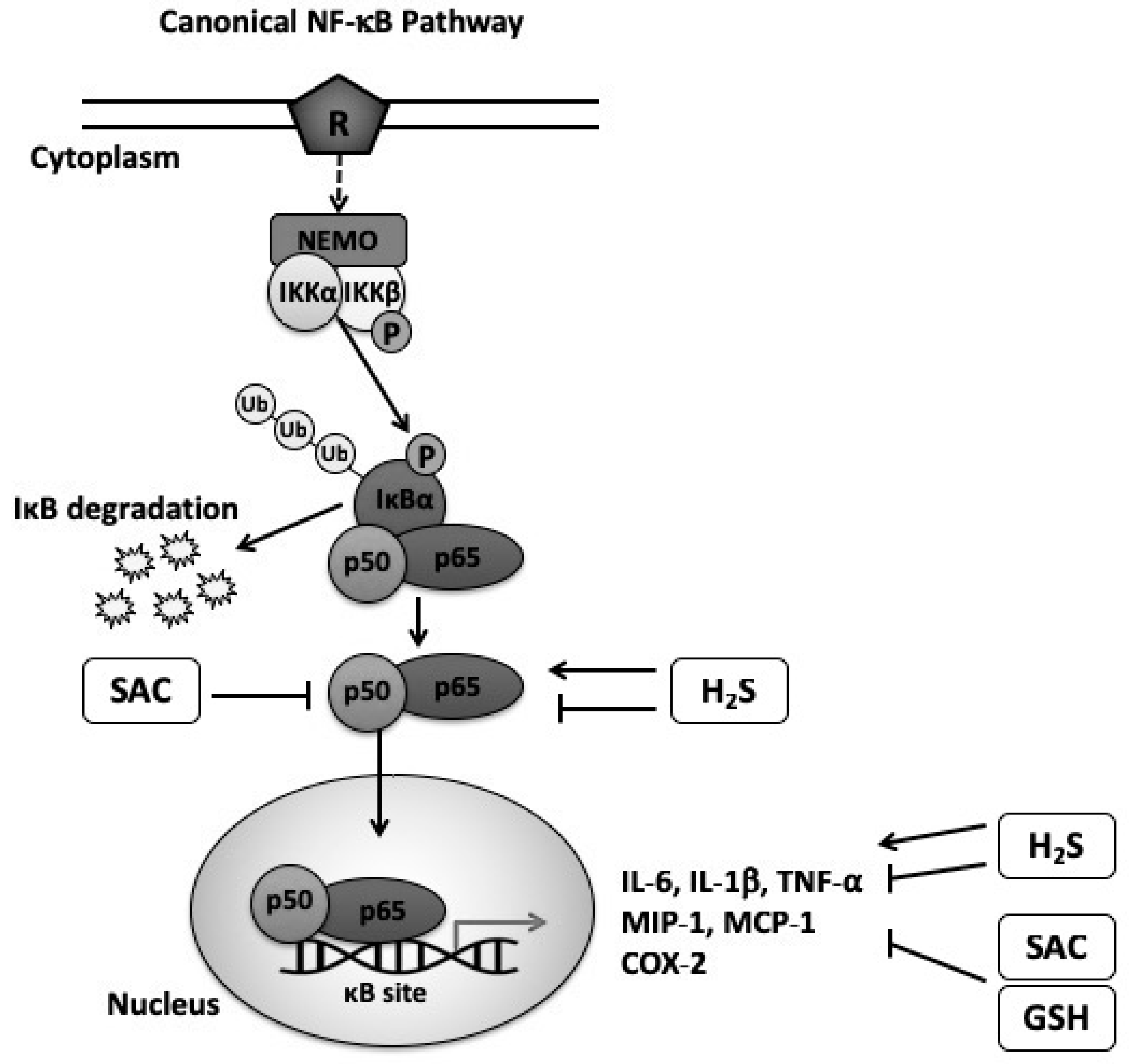 Nutrients 11 00295 g001