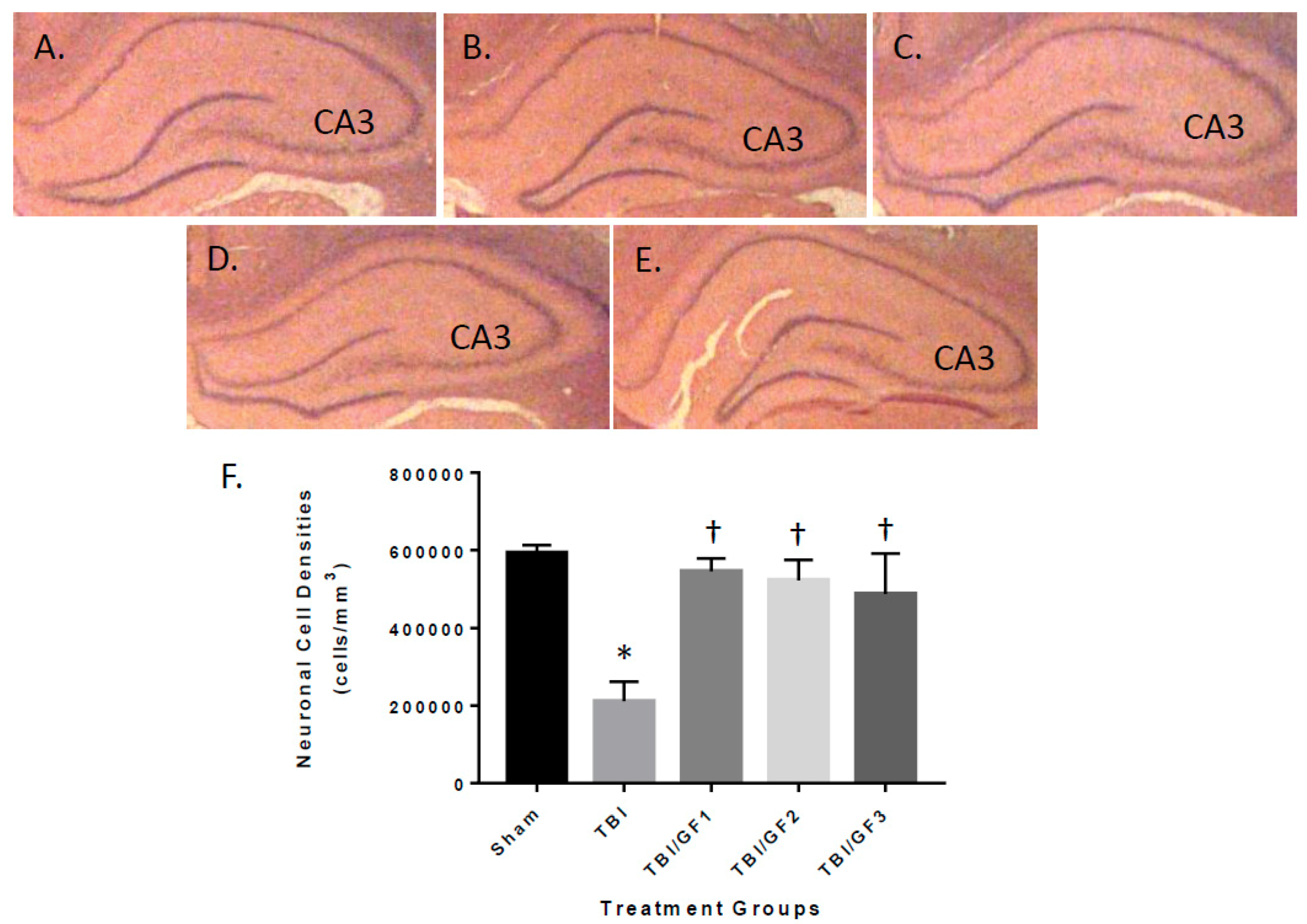 Nutrients 11 00299 g005