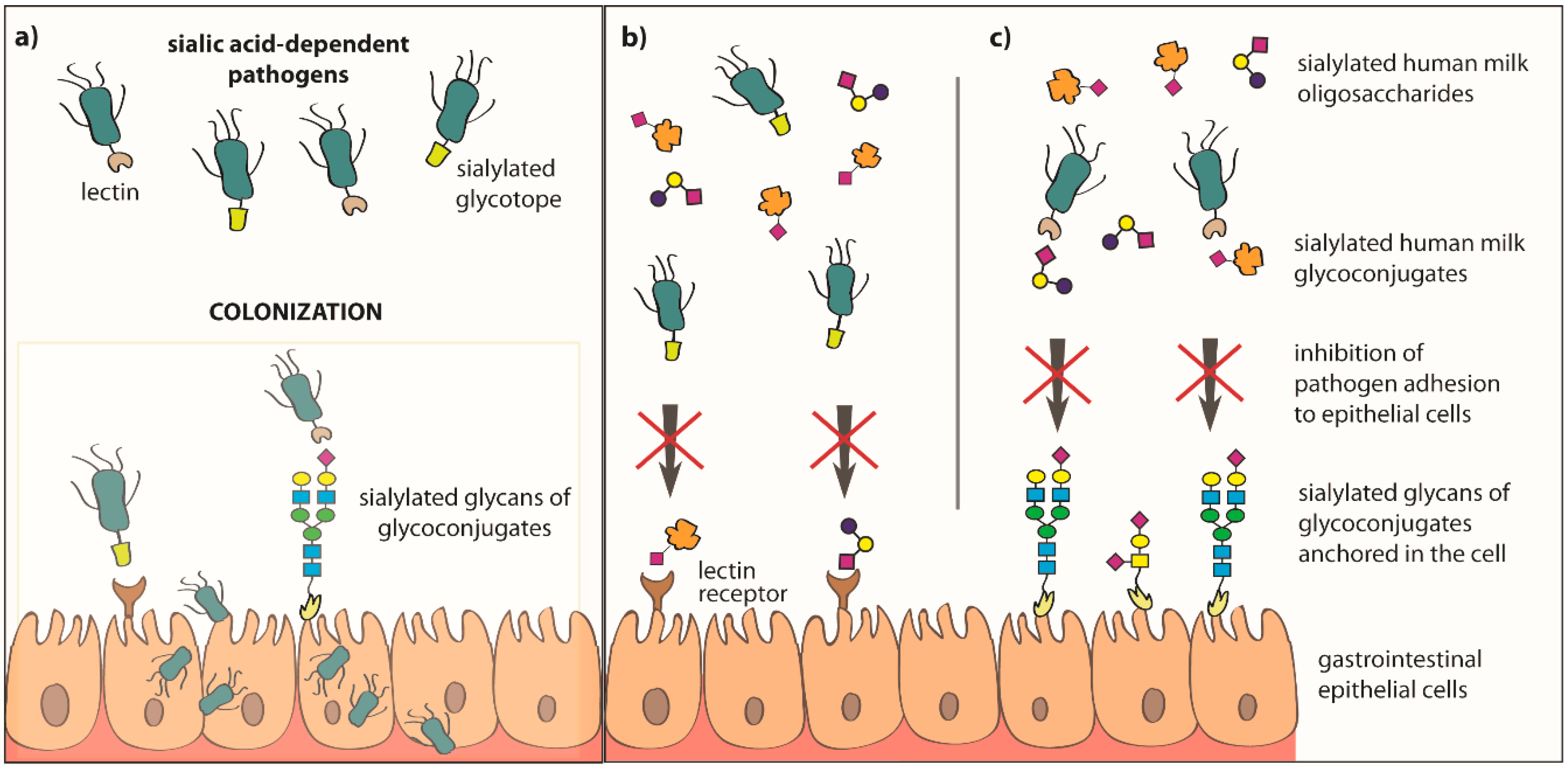 Nutrients 11 00306 g003