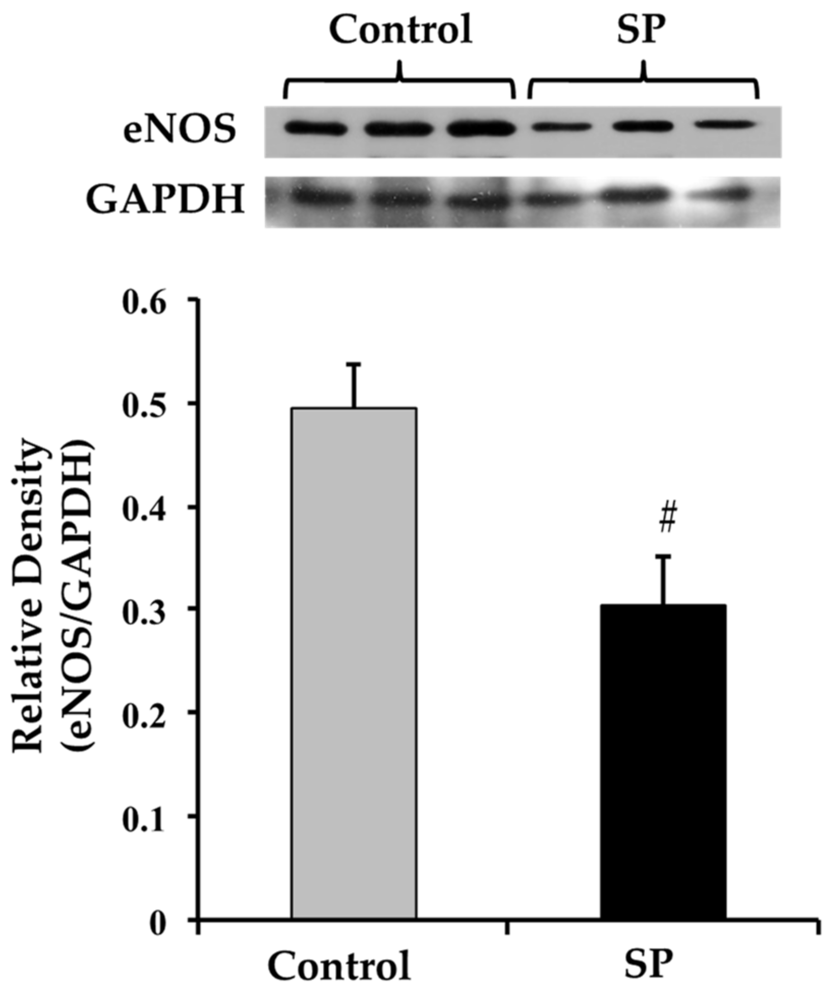 Nutrients 11 00309 g002 Nutrients 11 00309 g002