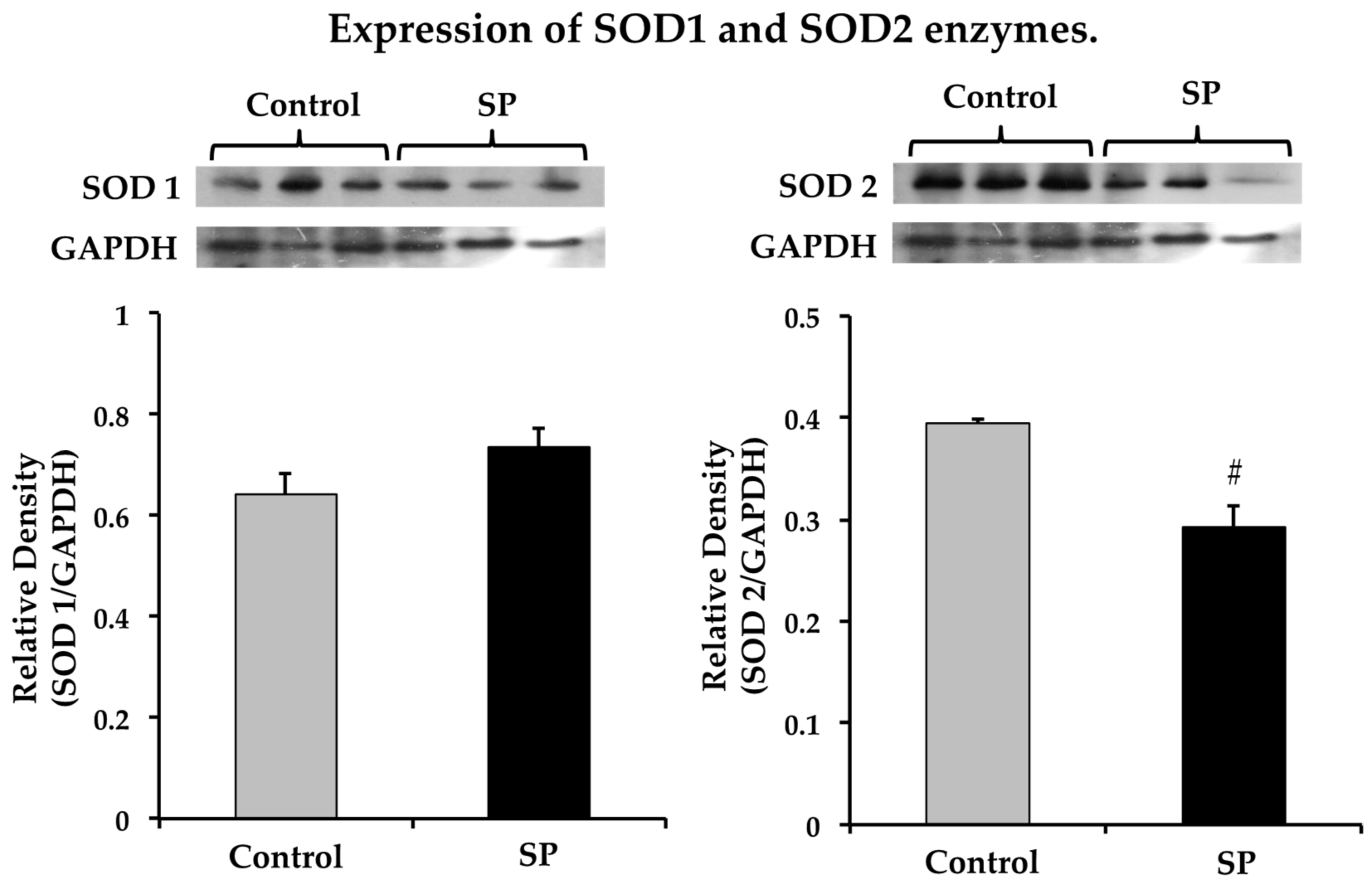 Nutrients 11 00309 g006 Nutrients 11 00309 g006